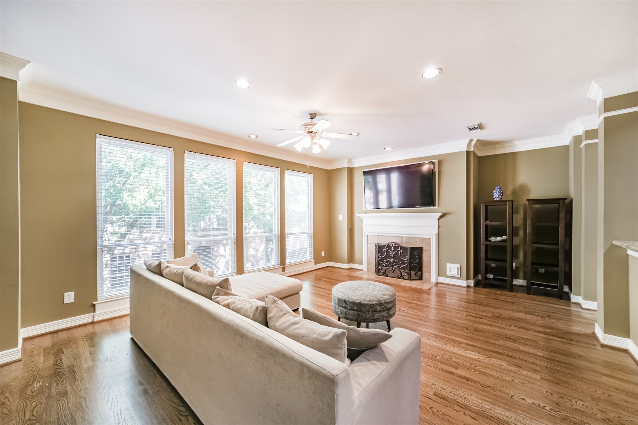 227 Mcgowen Street Property Photo 13