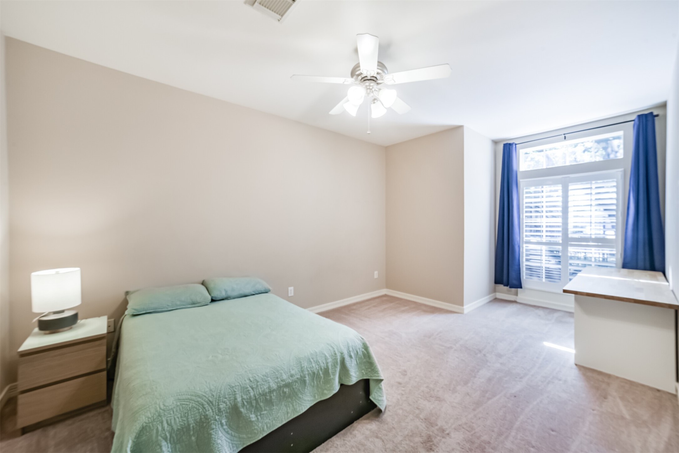 227 Mcgowen Street Property Photo 22