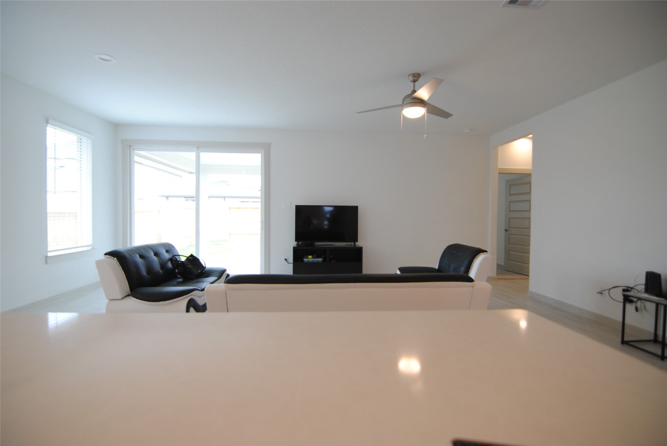 29207 Pikes Peak Drive Property Photo 8