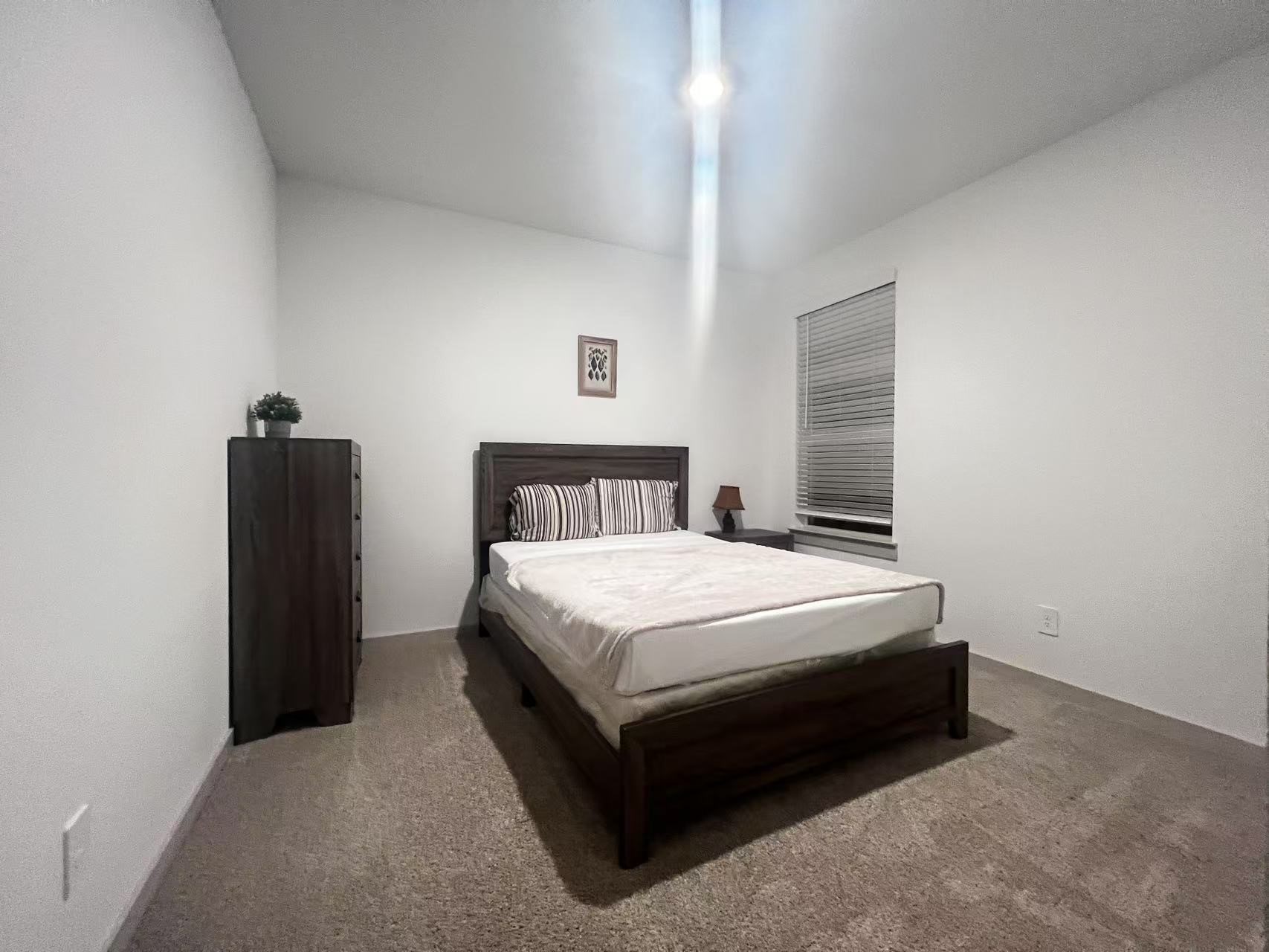 29207 Pikes Peak Drive Property Photo 16