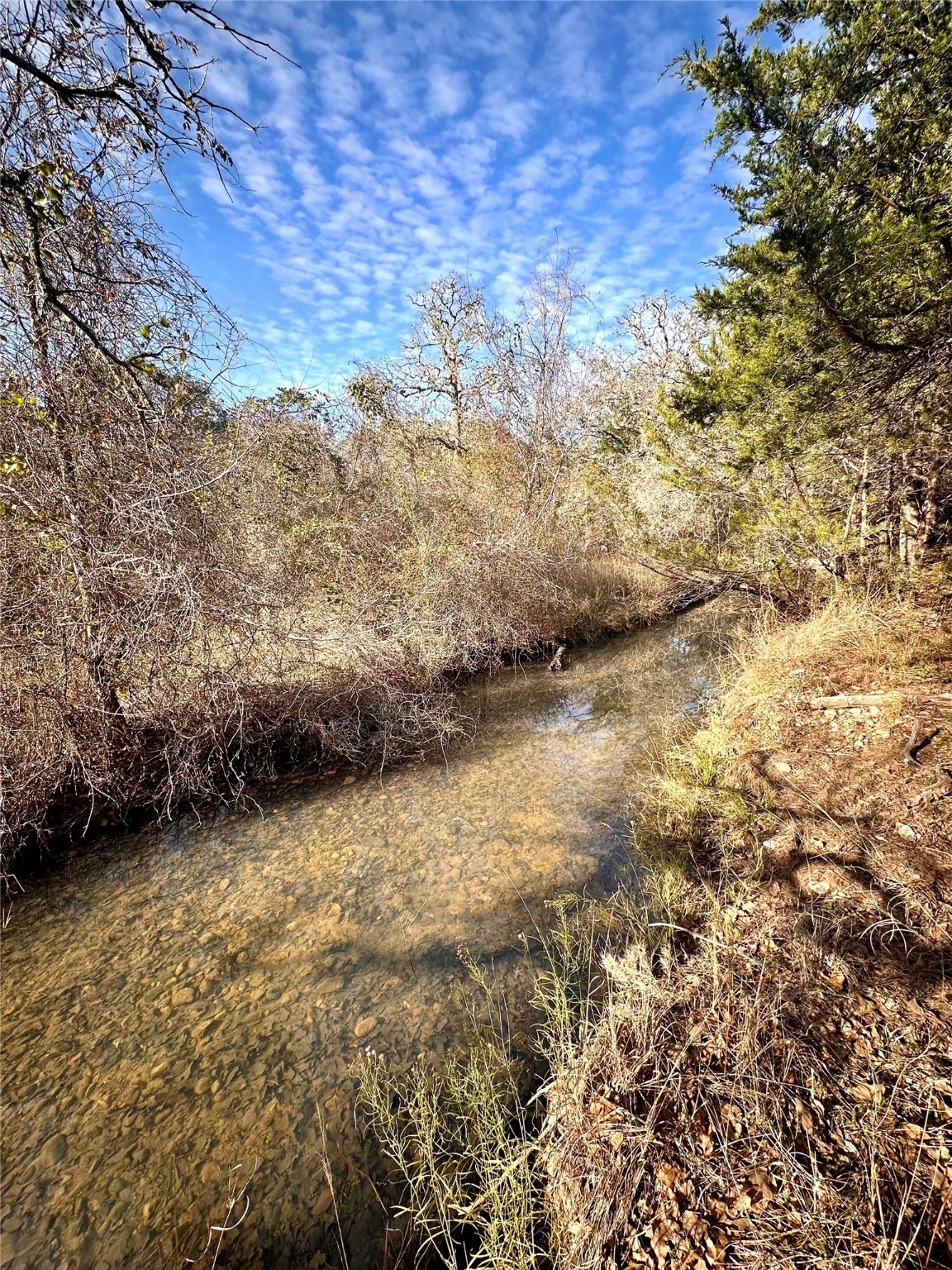 1565 Smith Rau Road Property Photo 38