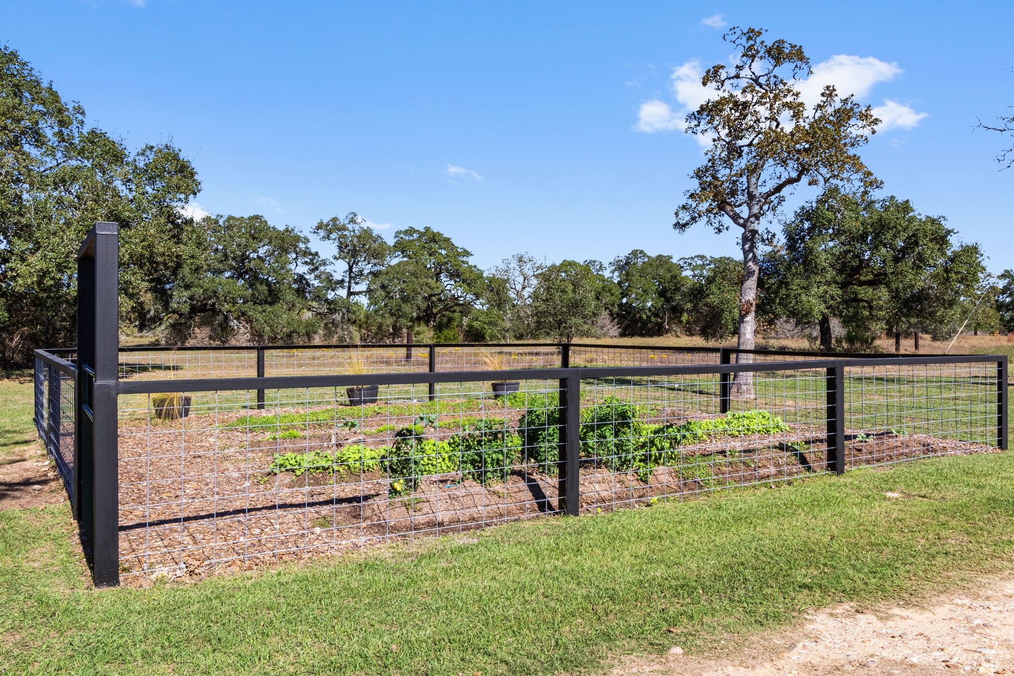 1565 Smith Rau Road Property Photo 39