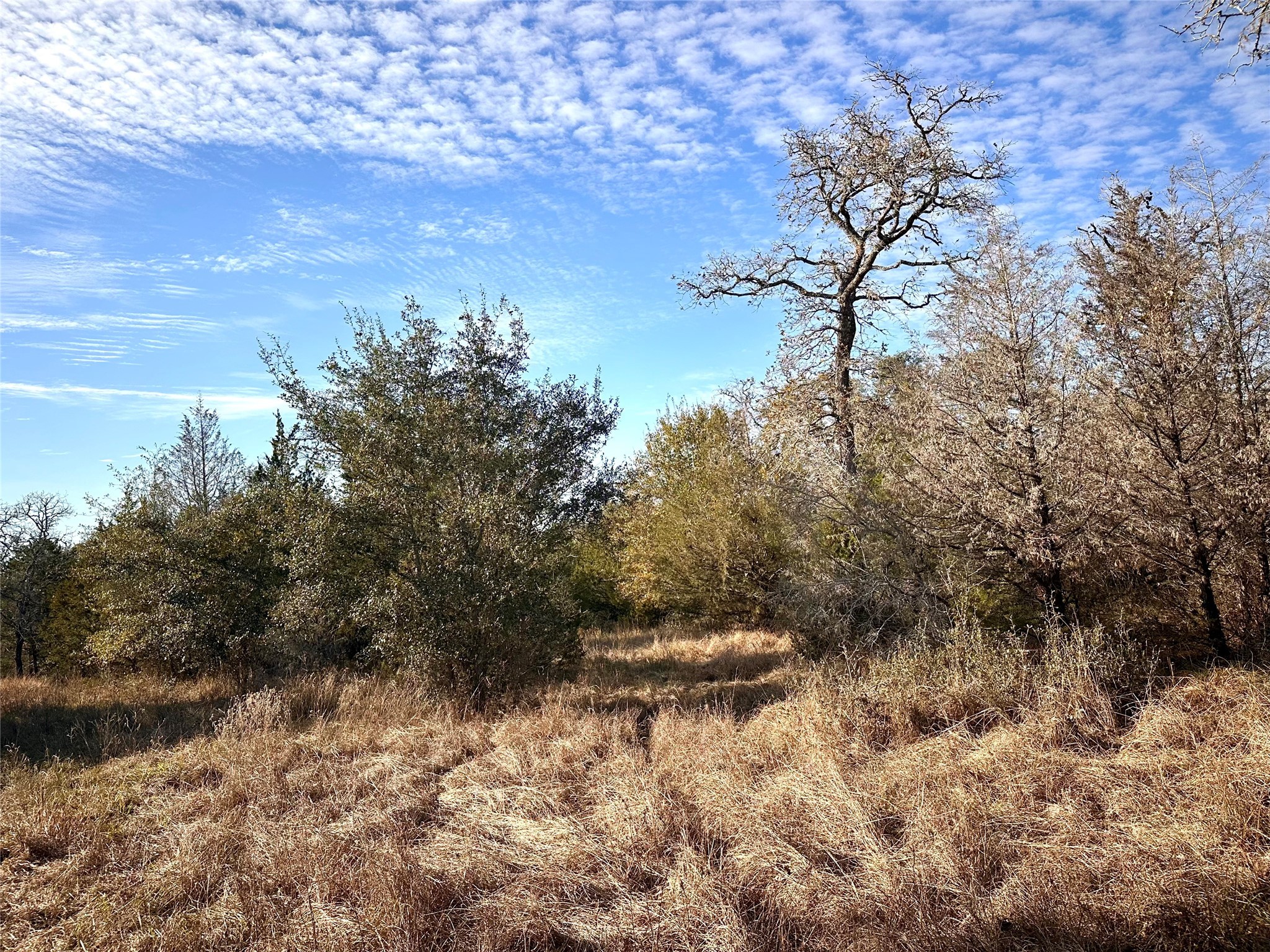 1565 Smith Rau Road Property Photo 46