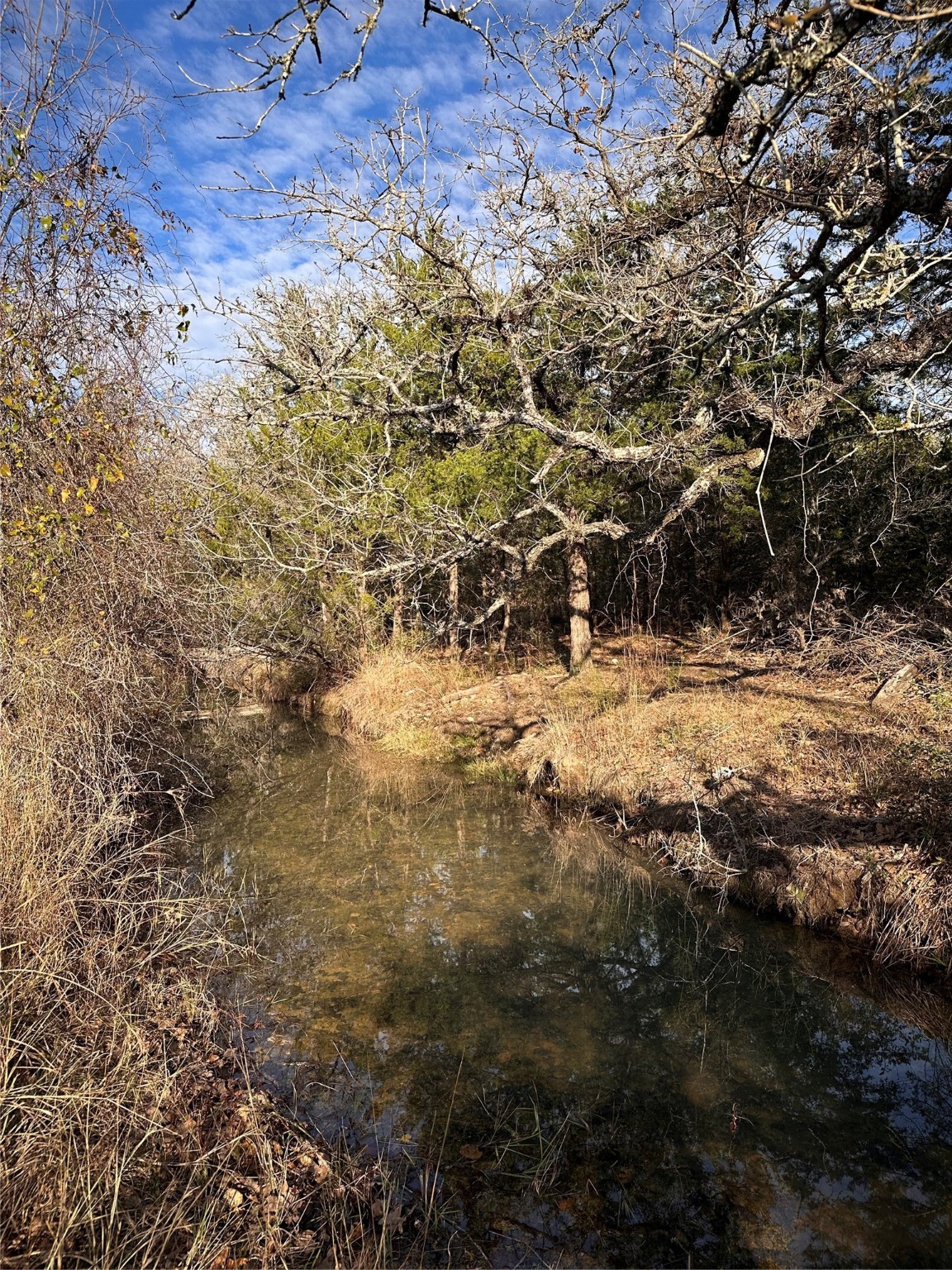 1565 Smith Rau Road Property Photo 47