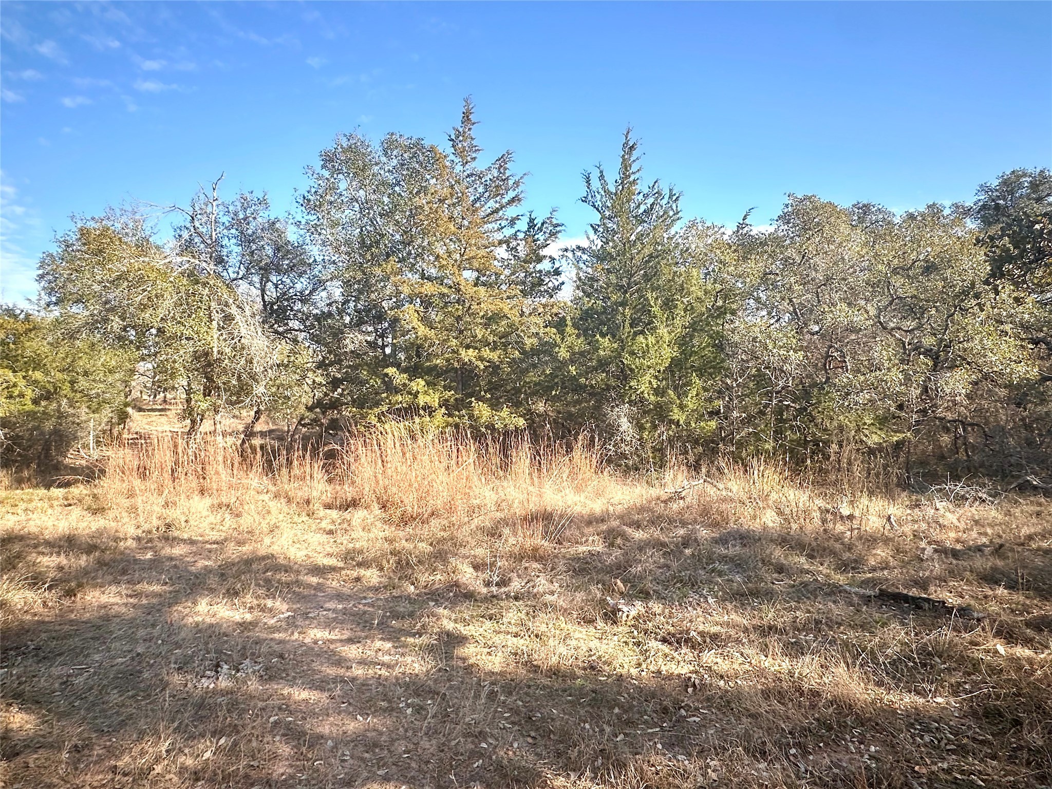 1565 Smith Rau Road Property Photo 48
