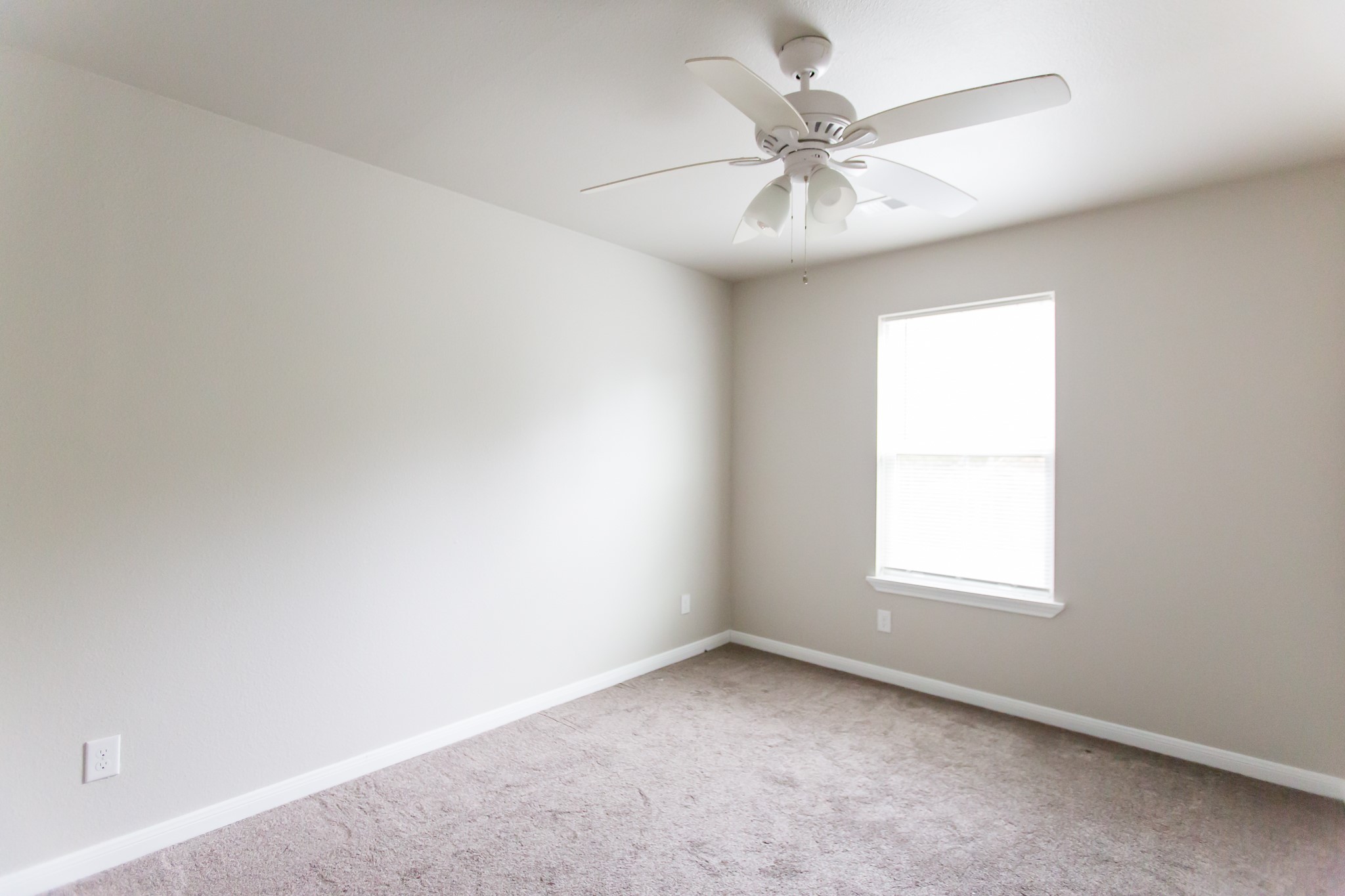 1012 Foster Drive D Property Photo 6