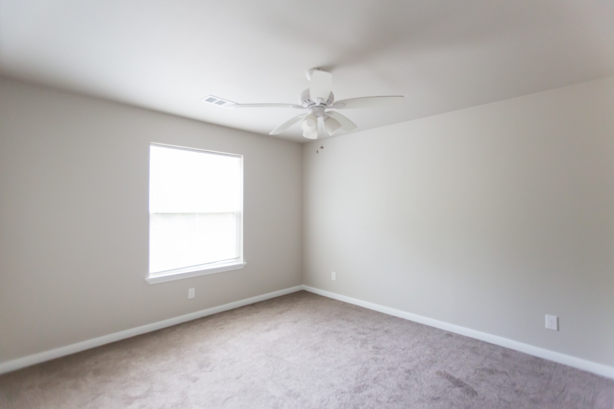 1012 Foster Drive D Property Photo 7