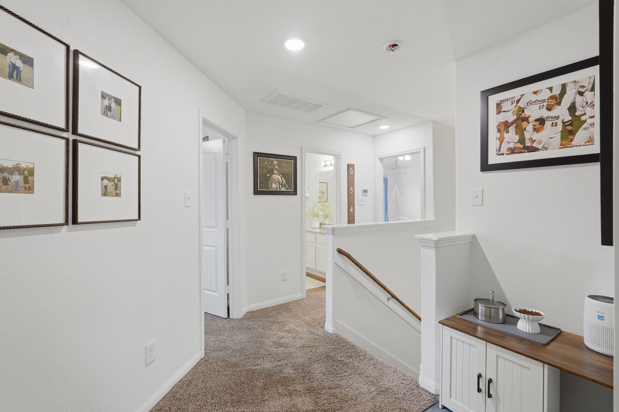 118 Shadow Springs Trail Property Photo 30