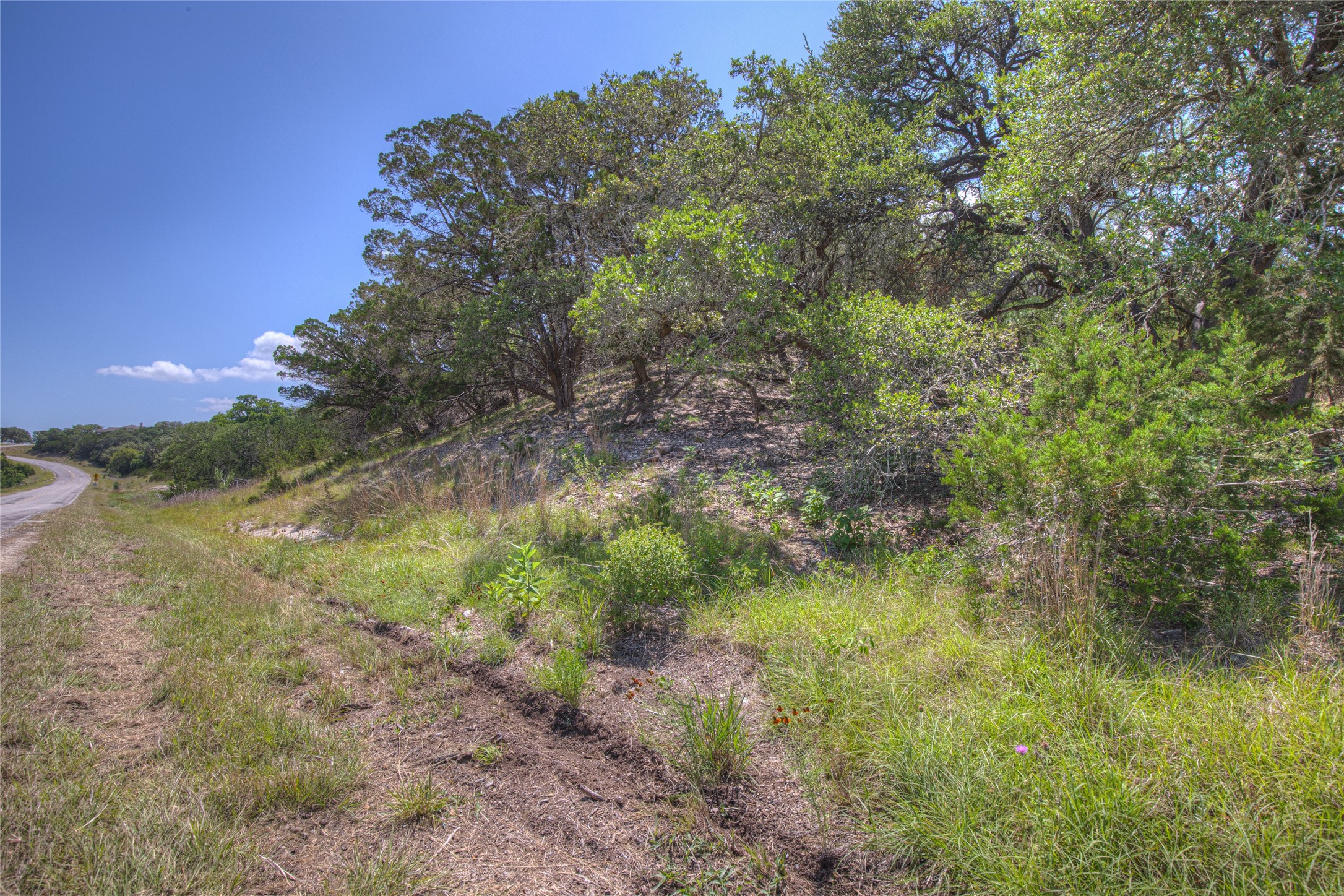 3527 Comal Springs Property Photo 10