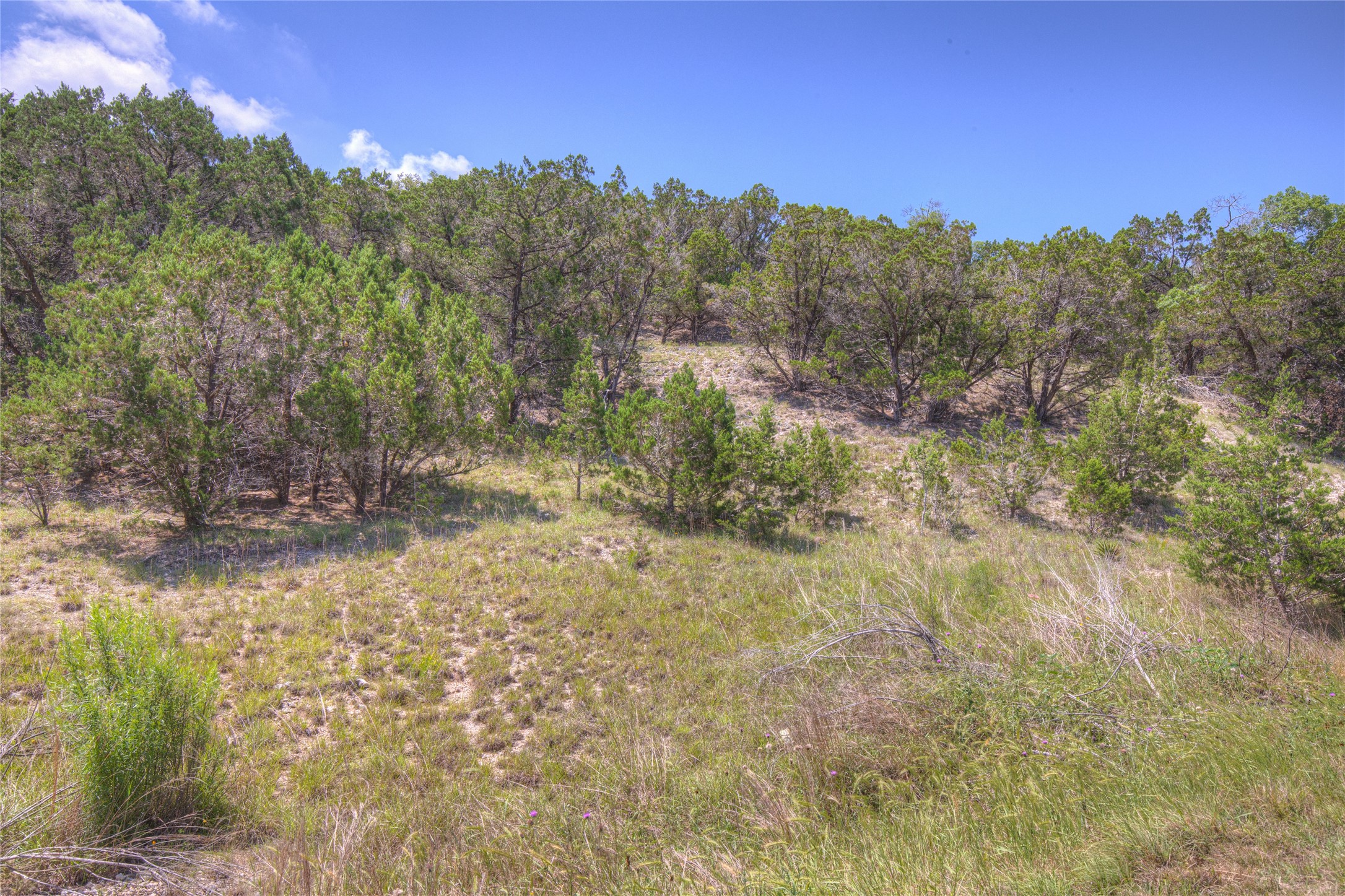 3527 Comal Springs Property Photo 12