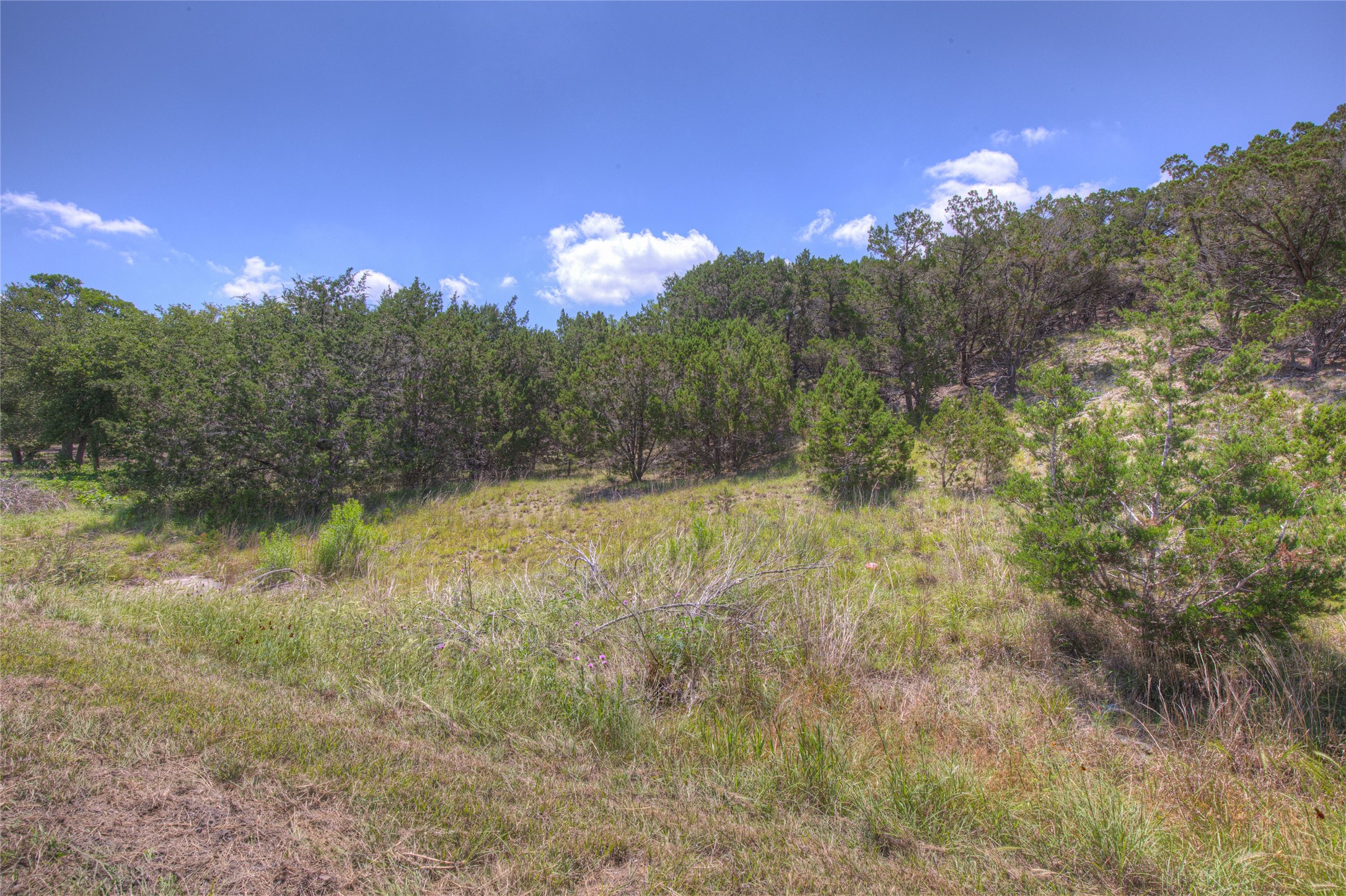 3527 Comal Springs Property Photo 13