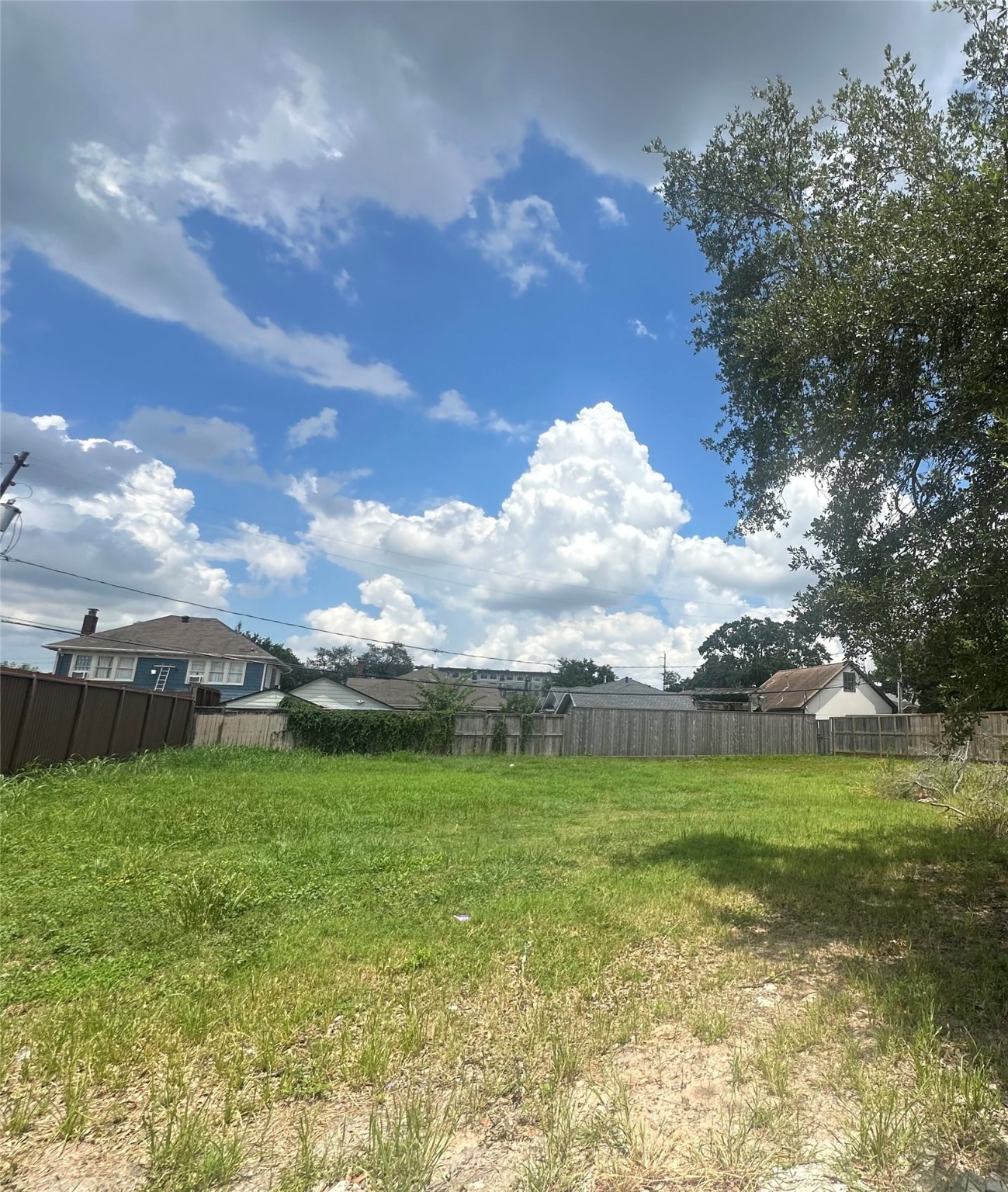 1648 Richmond Avenue Property Photo 6