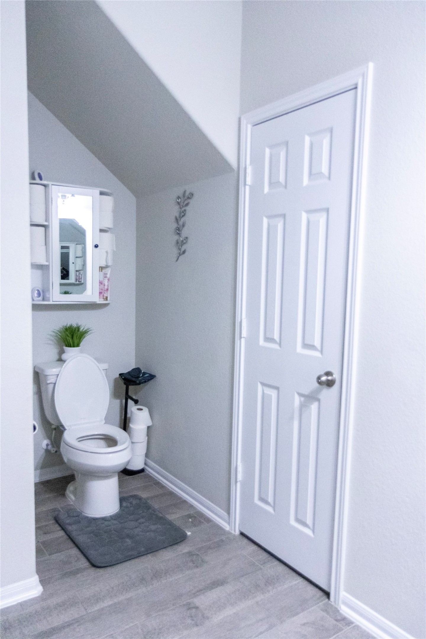 4527 Medrano Trail Property Photo 17