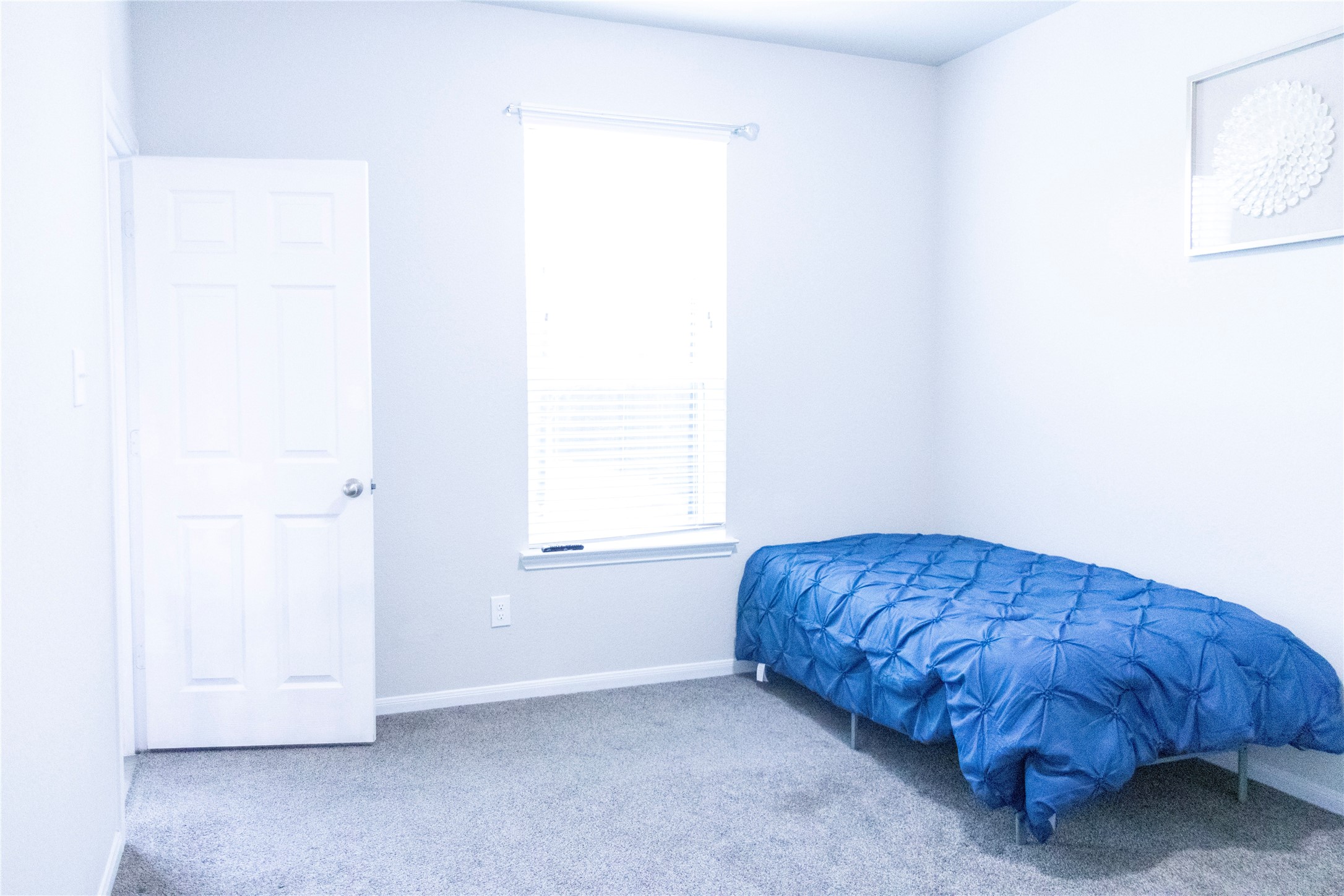 4527 Medrano Trail Property Photo 22