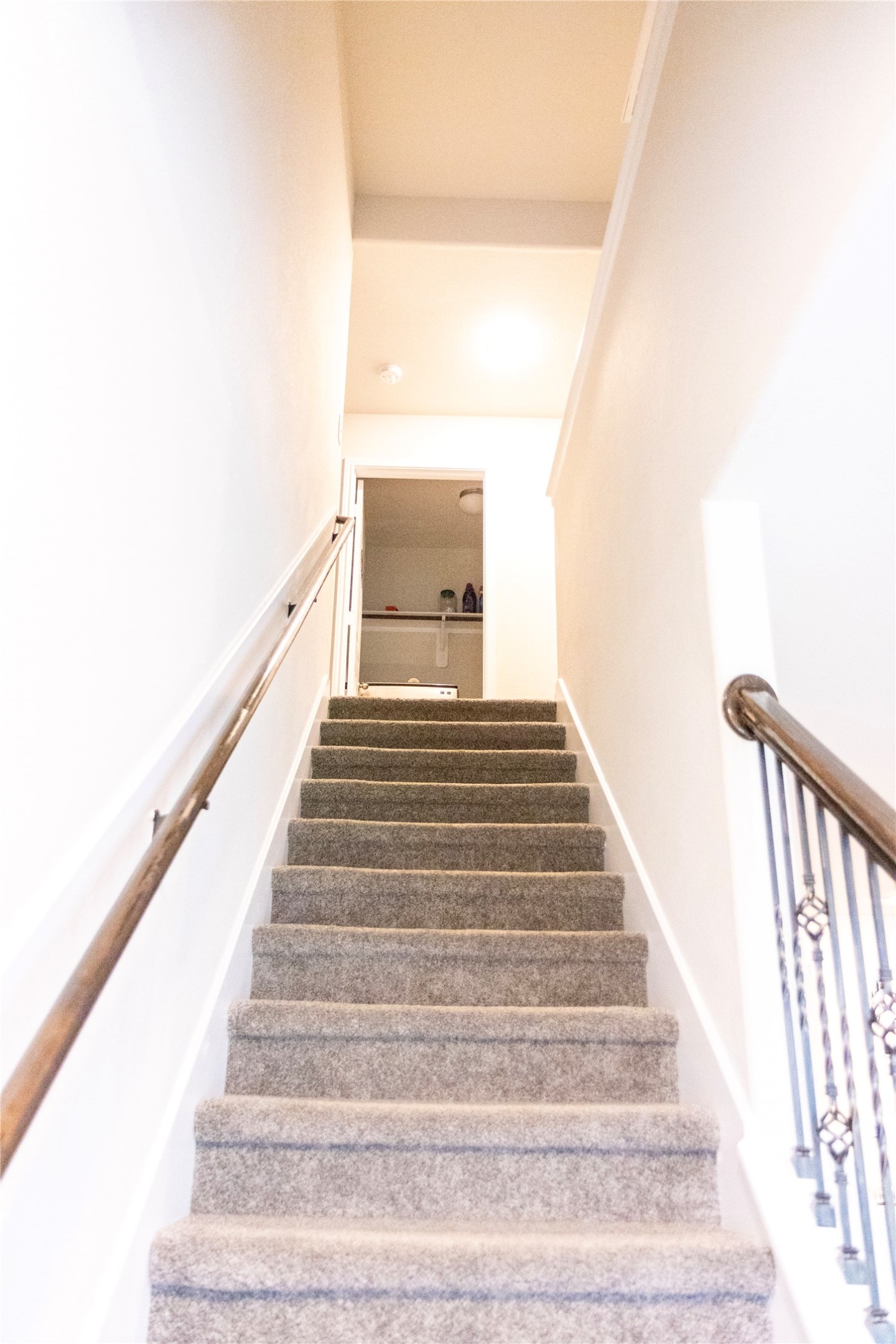 4527 Medrano Trail Property Photo 25