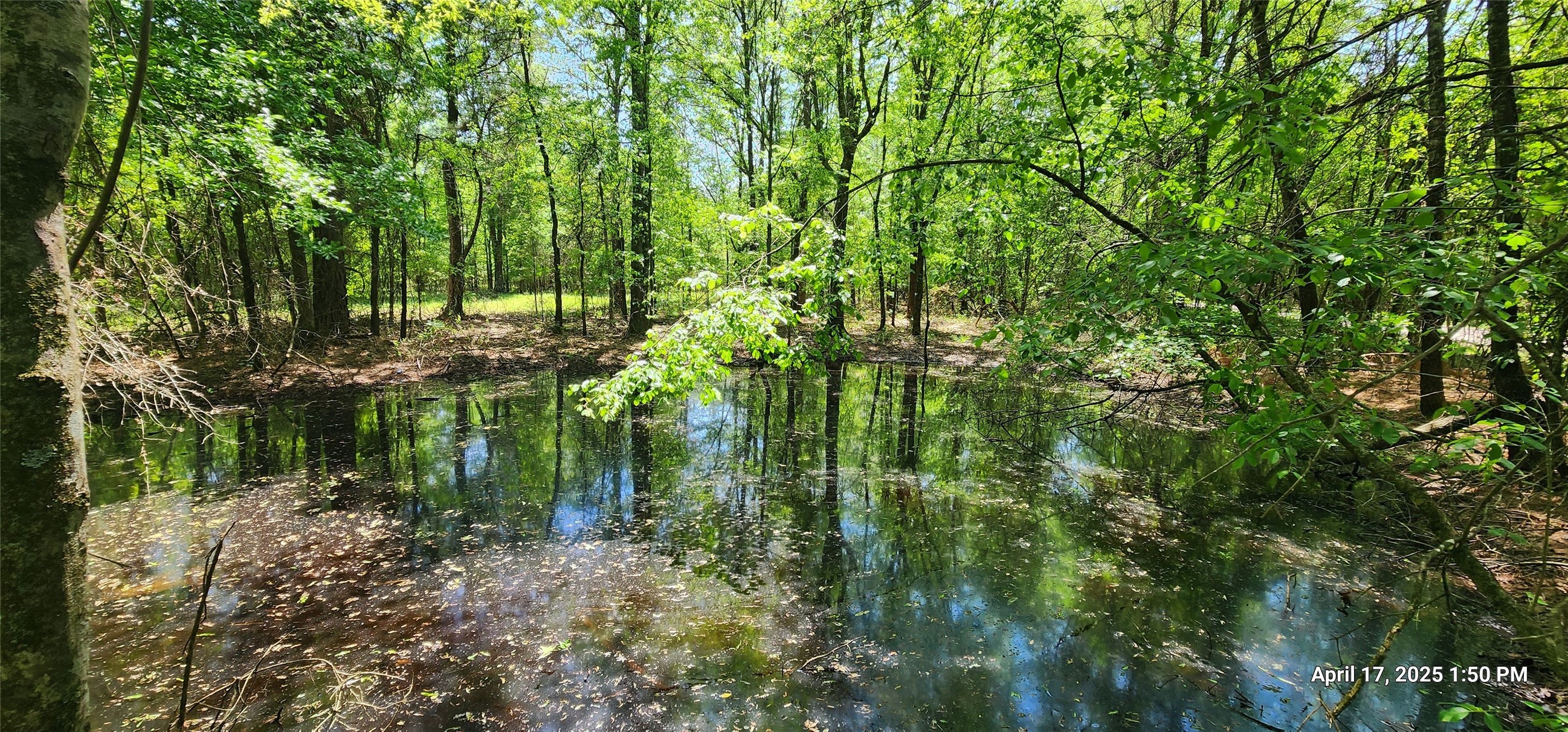 Tbd Cr 3233 E And Cr 3230 Property Photo 1