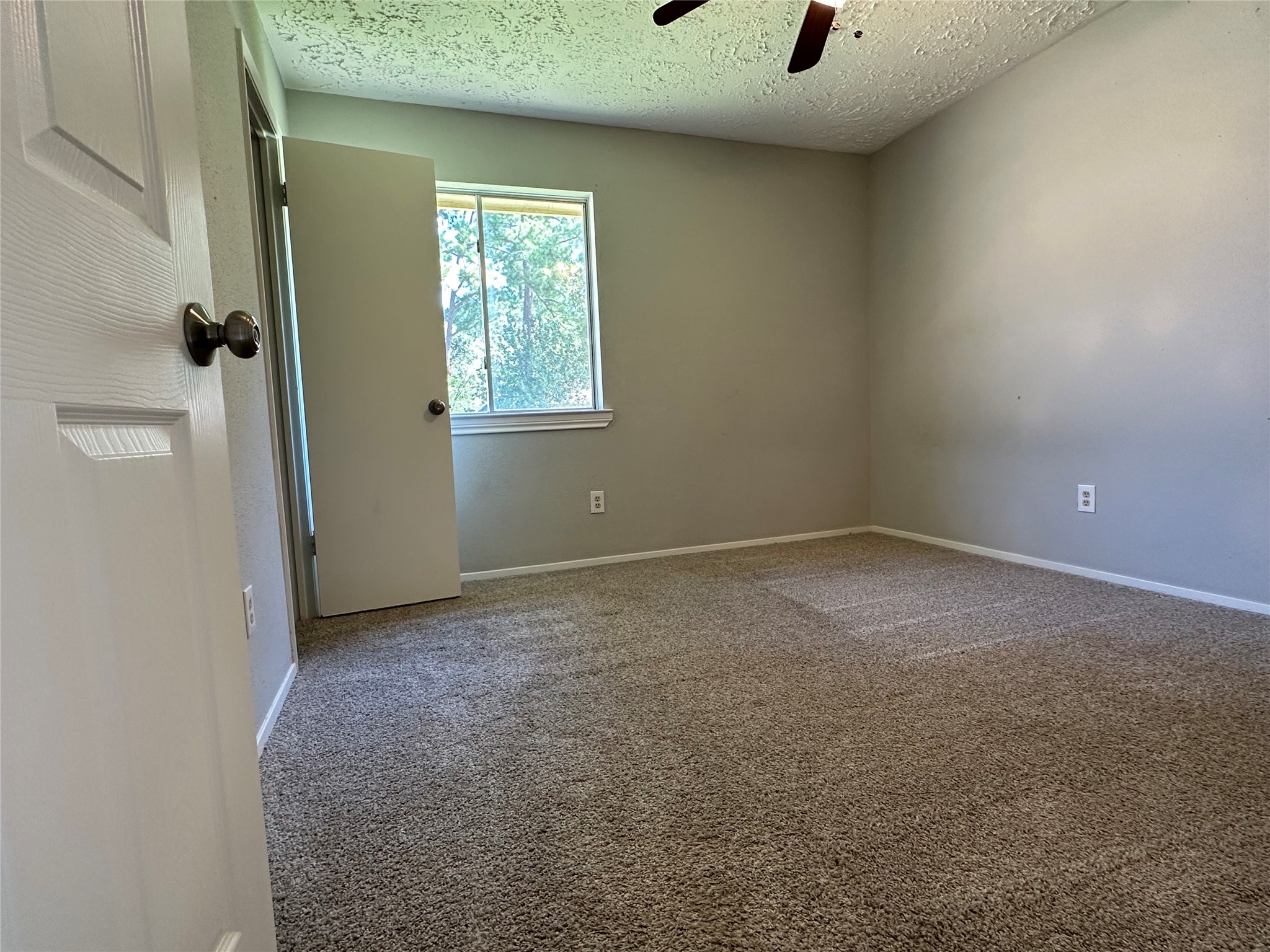 17007 Jane Lynn Lane Property Photo 13