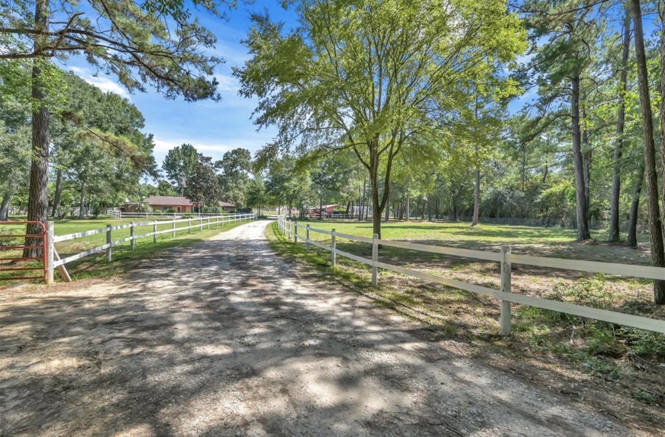 26768 B Dobbin Huffsmith Road Property Photo 20