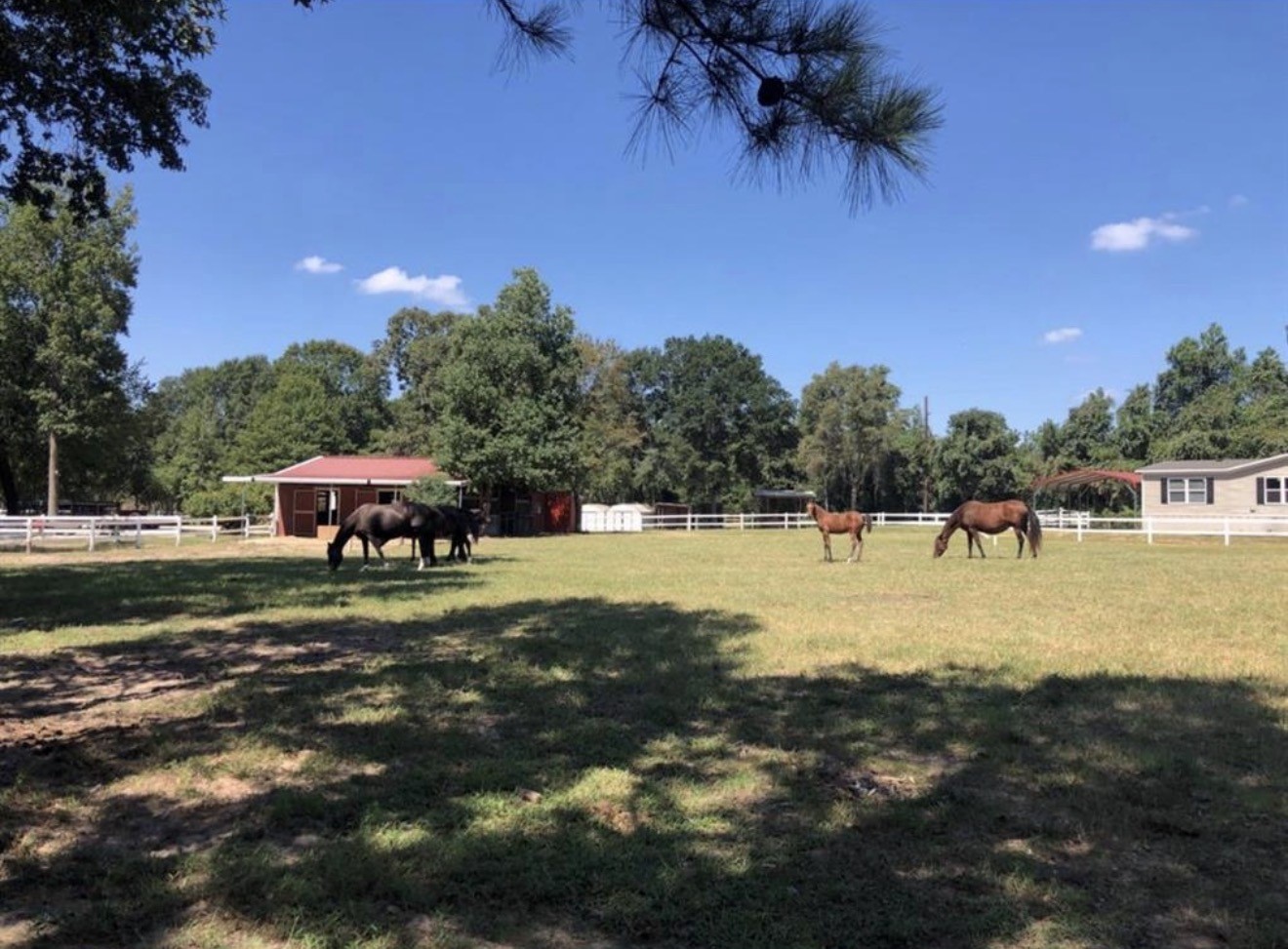 26768 B Dobbin Huffsmith Road Property Photo 21