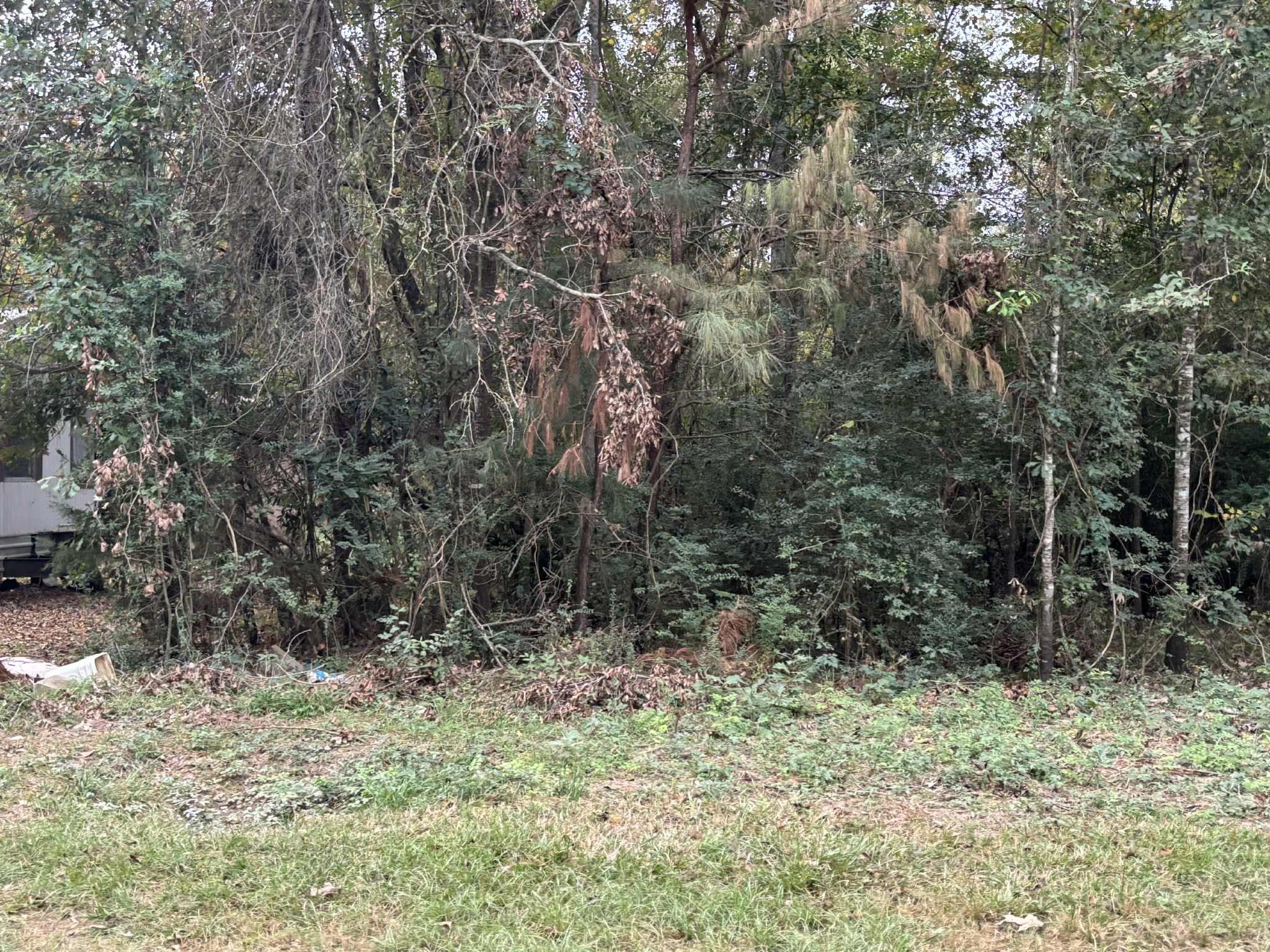 929 Mudd Street Property Photo 1