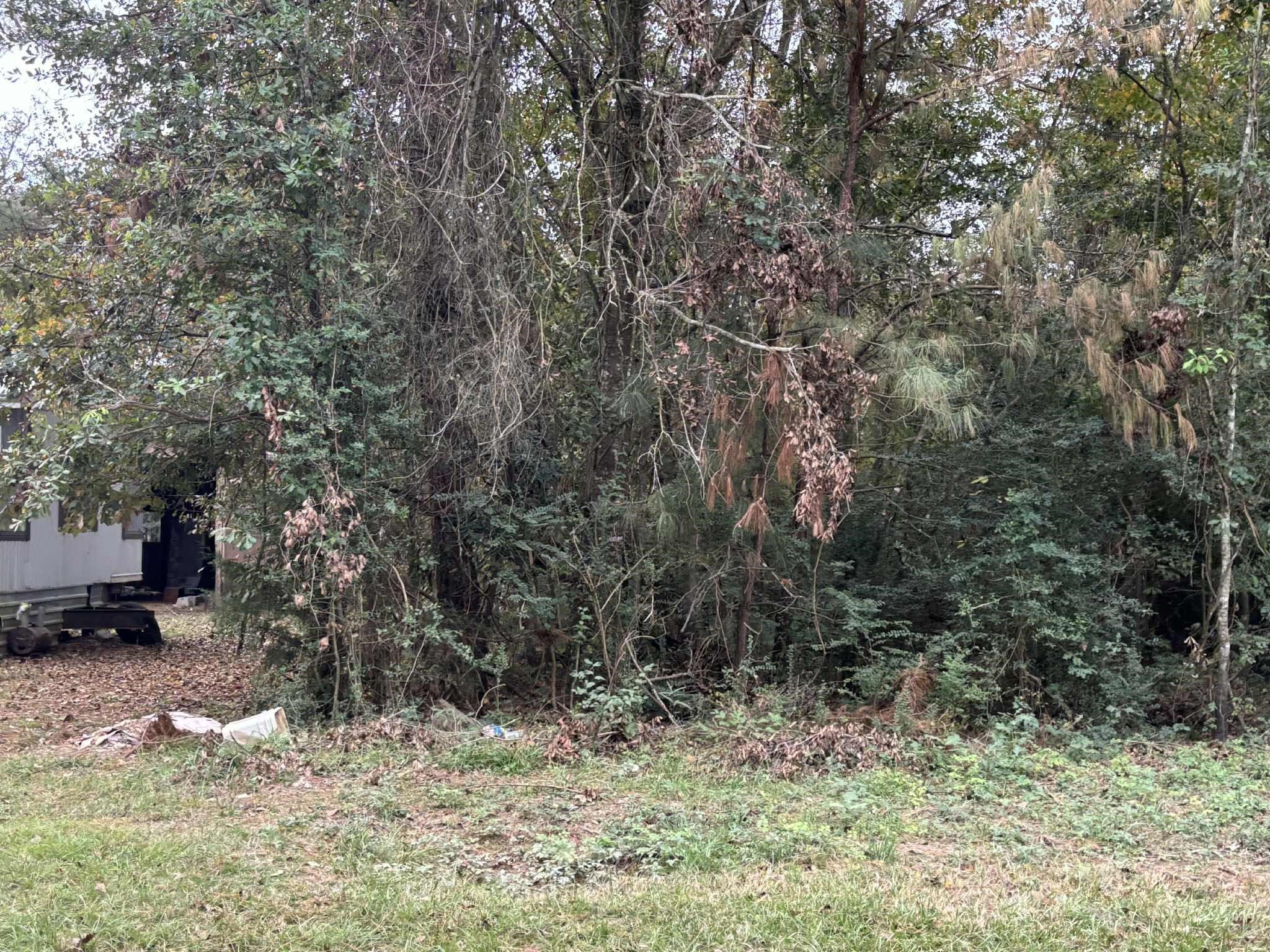 929 Mudd Street Property Photo 3