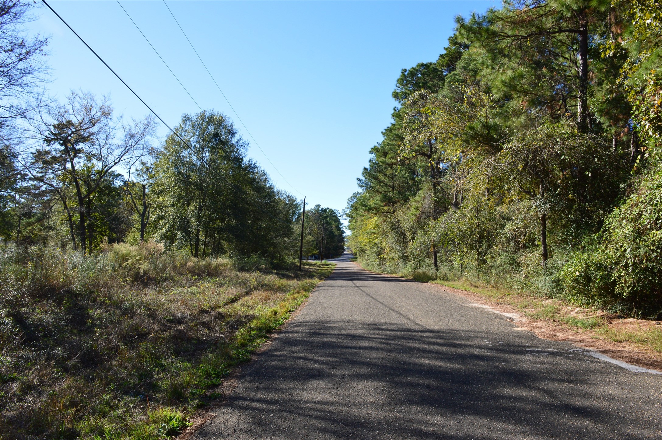 Tract #3 County Road 302 Property Photo 25