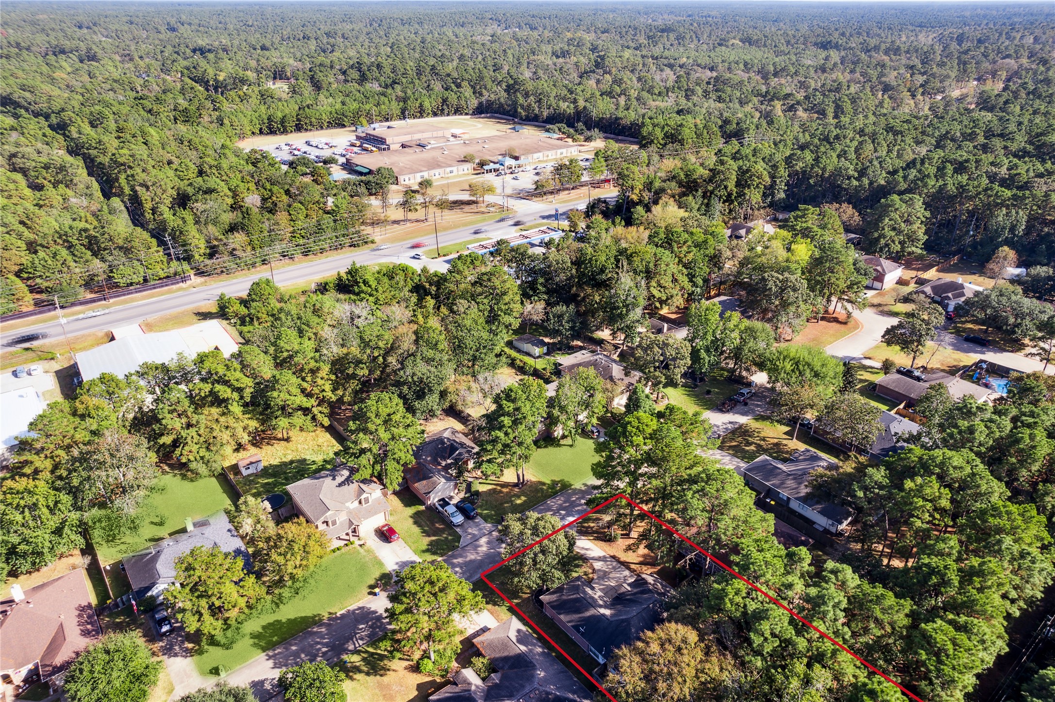 28819 Pine Forest Drive Property Photo 1