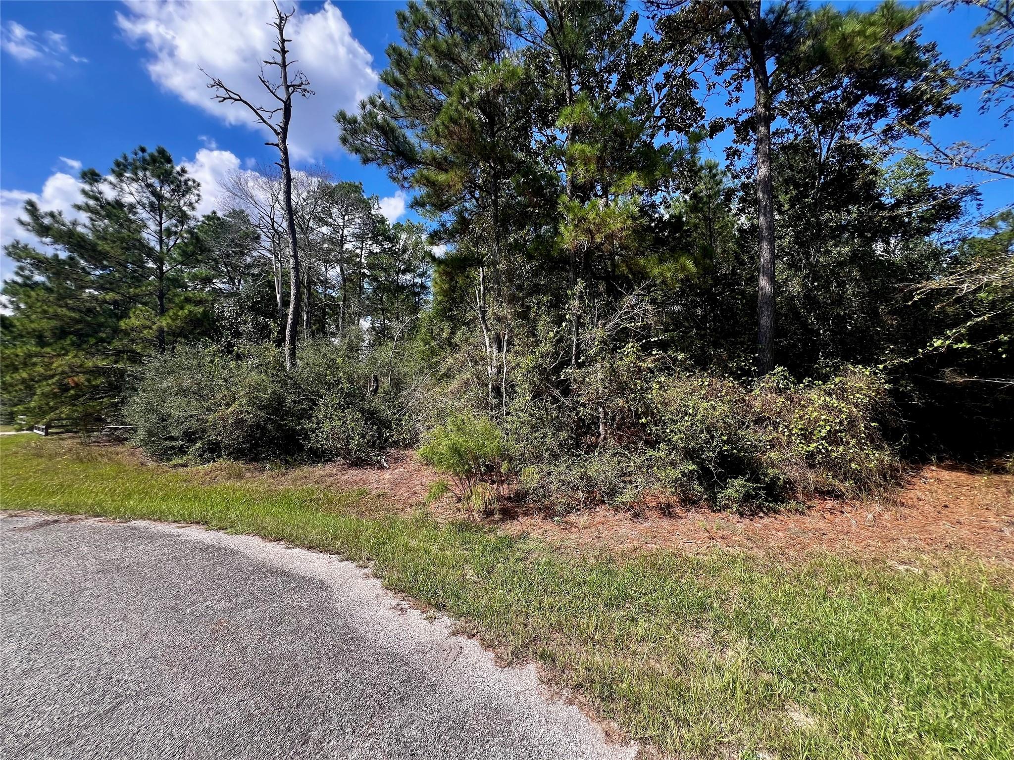 9485 Parkview Drive Property Photo 4