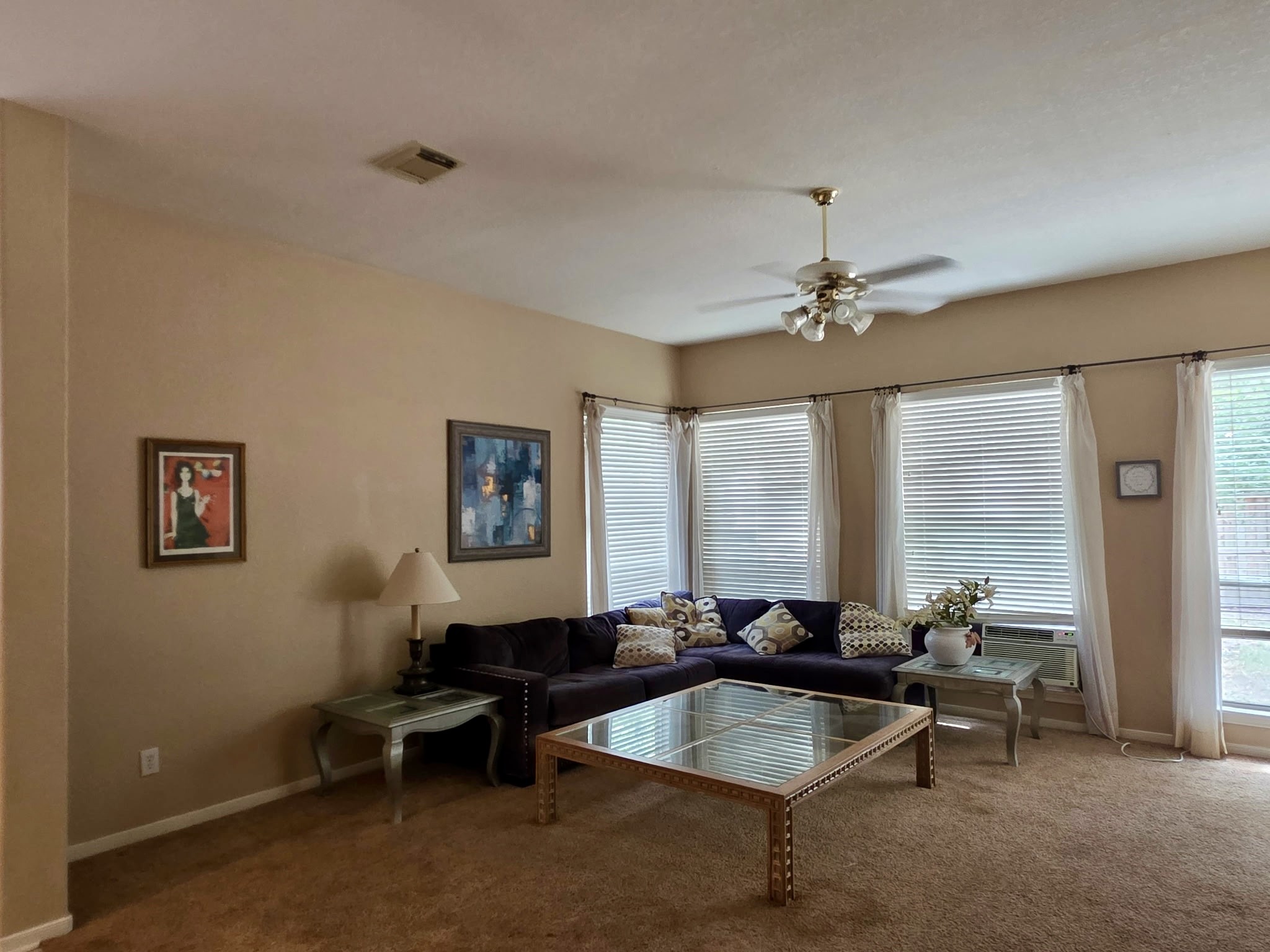 31 Danville Crossing Court Property Photo 6