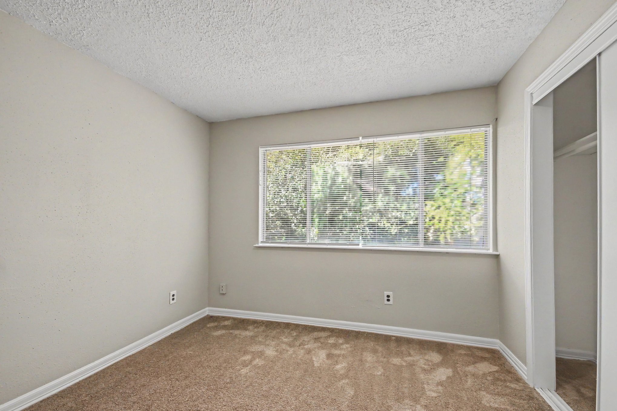 19003 Pine Trace Court Property Photo 16