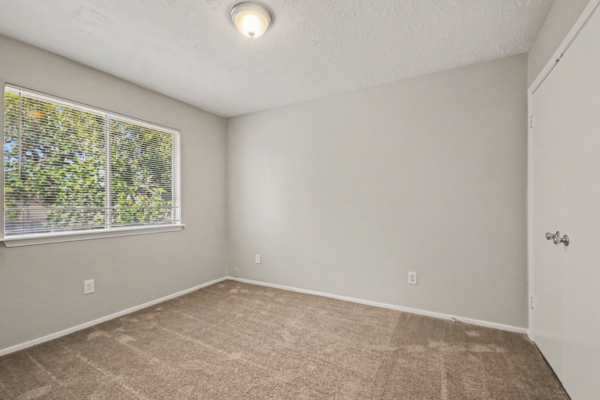 19003 Pine Trace Court Property Photo 18