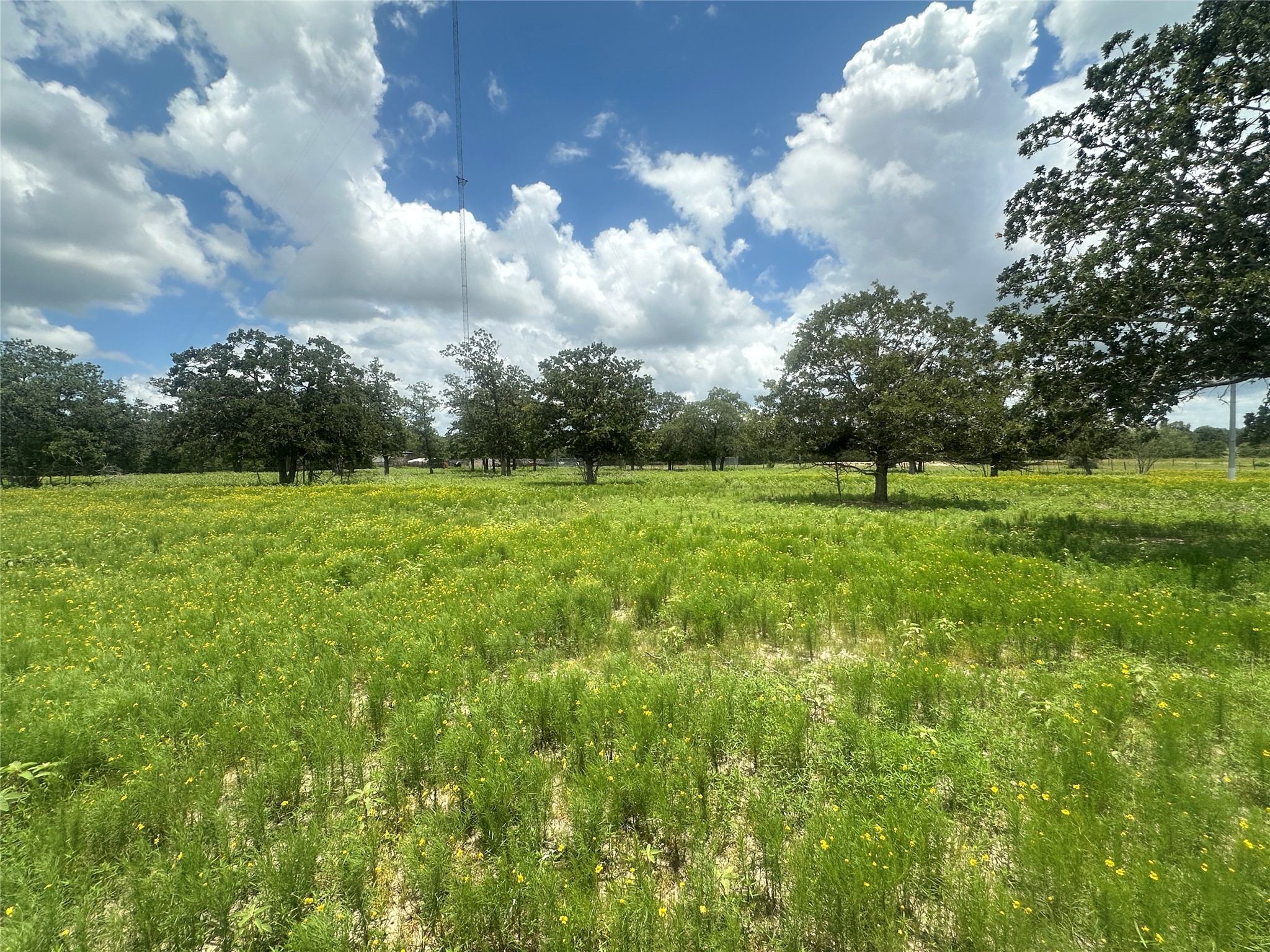 3351 W I-10 Frontage Road Property Photo 1