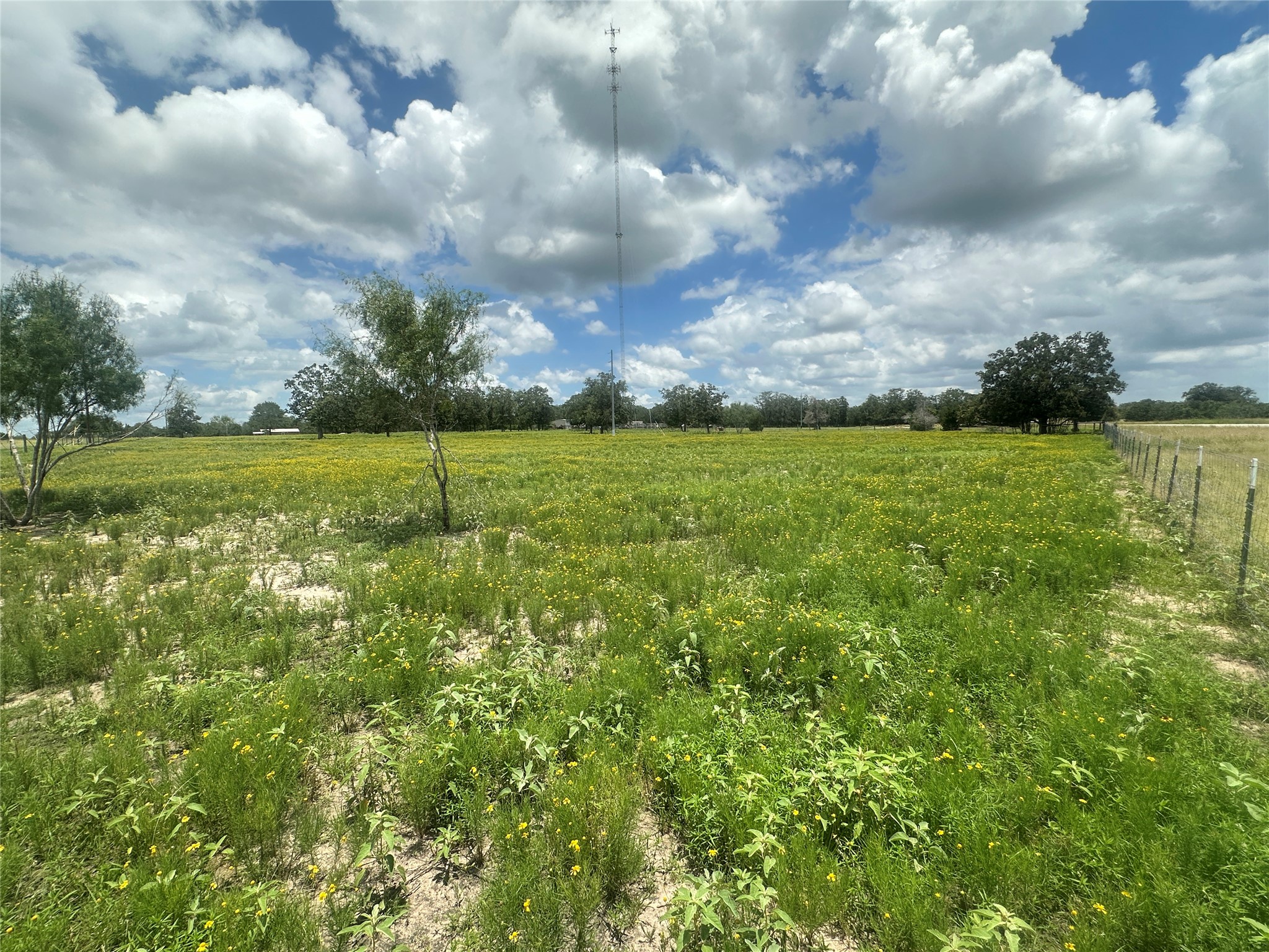 3351 W I-10 Frontage Road Property Photo 8