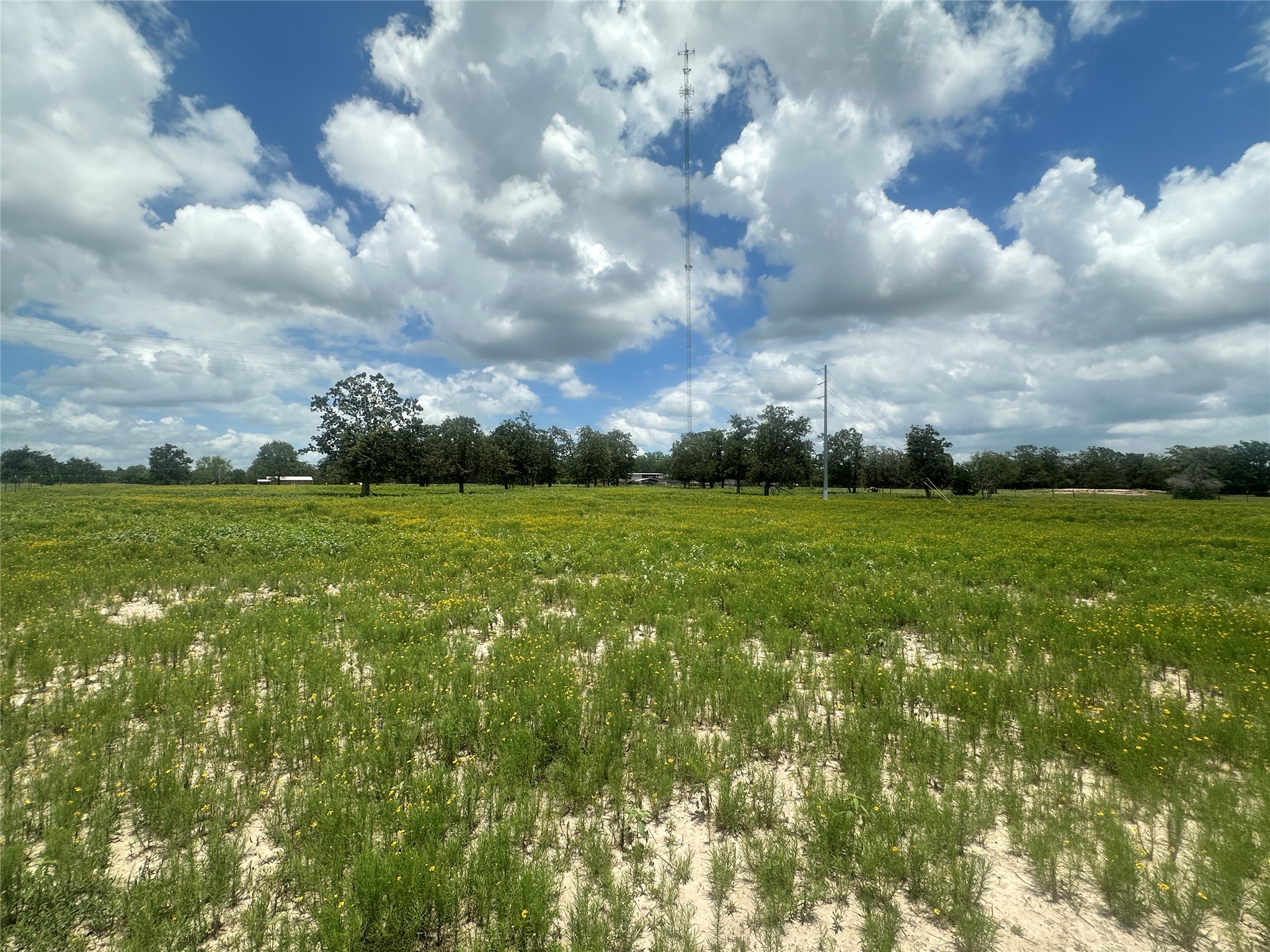 3351 W I-10 Frontage Road Property Photo 12