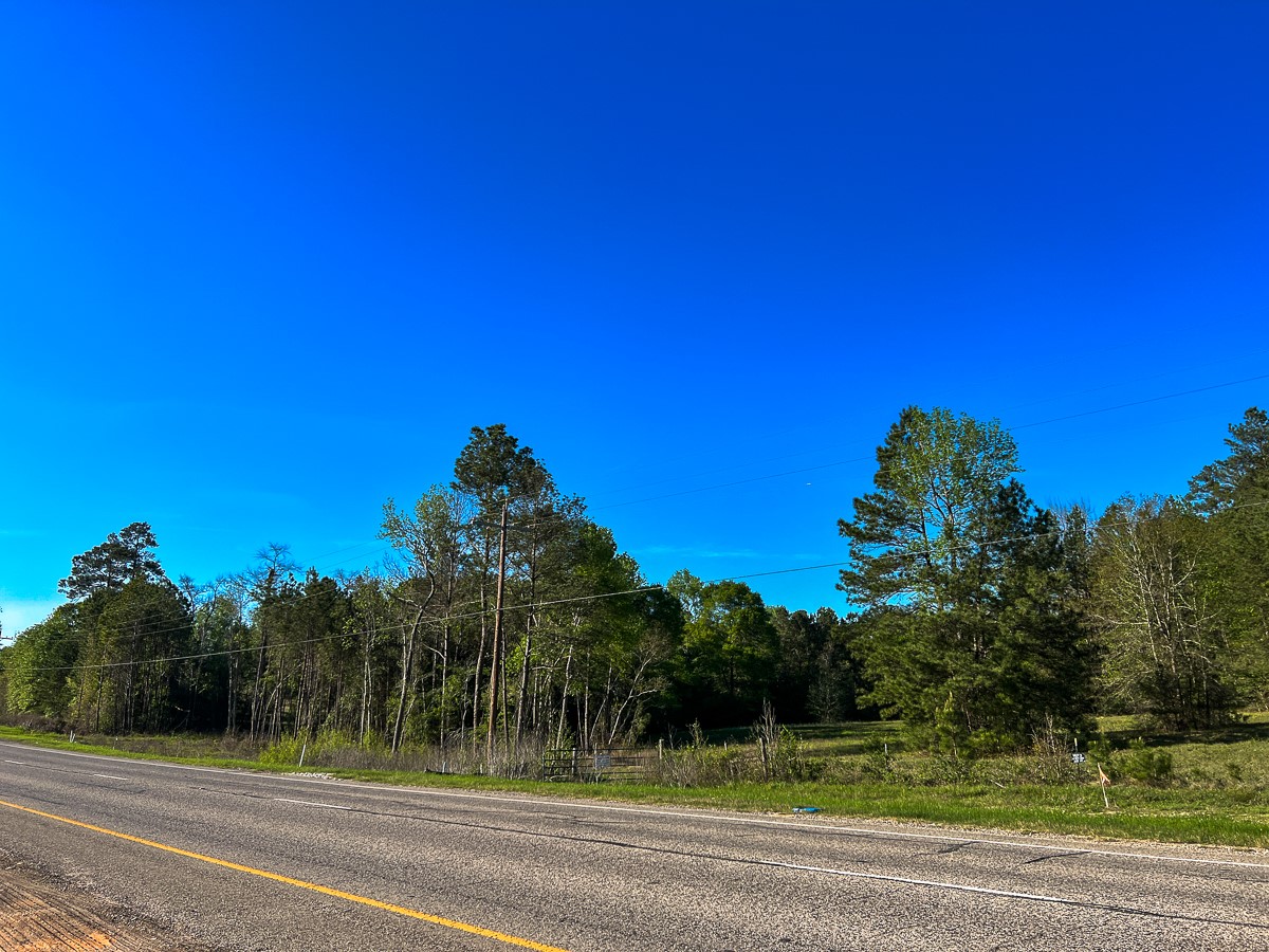 0 I-45 Frontage Road Property Photo 9