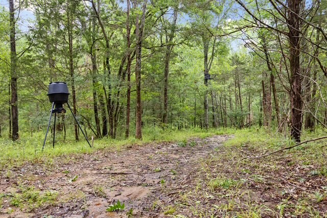 16650 Ne Cr 3010 Road Ne Property Photo 10