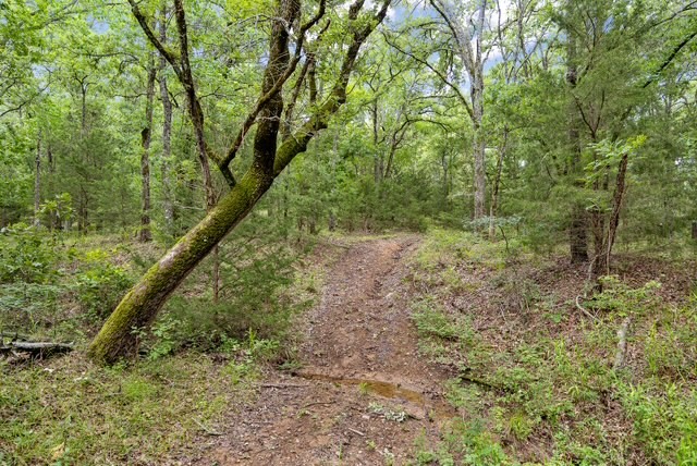 16650 Ne Cr 3010 Road Ne Property Photo 19