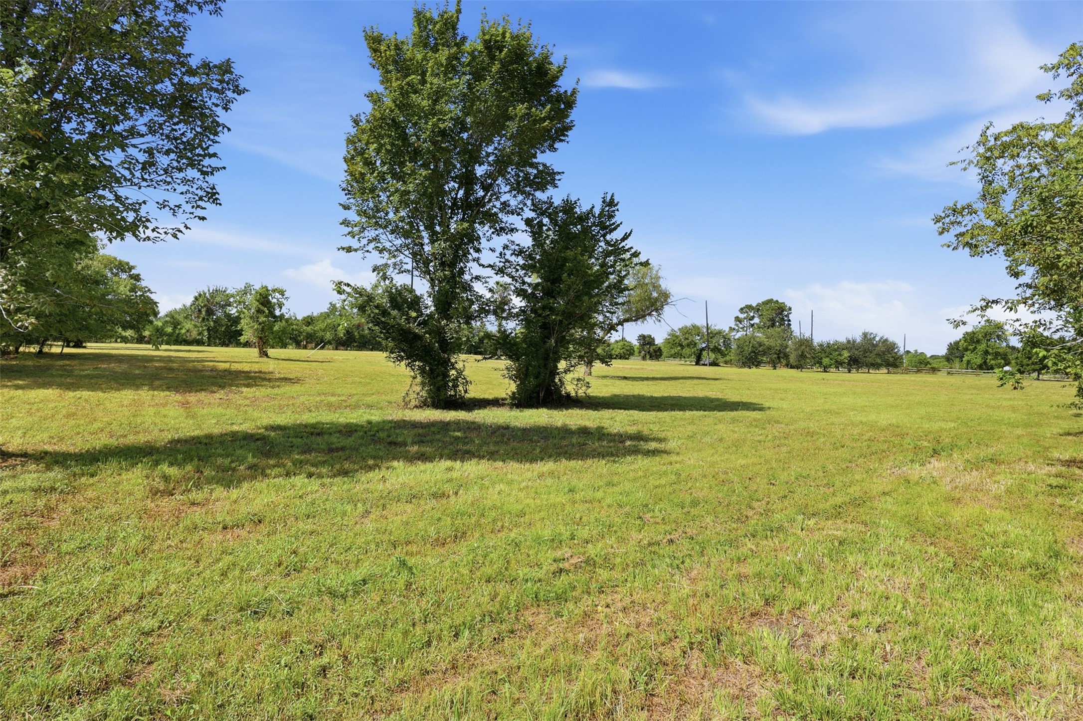 8511 County Road 79 Property Photo 8