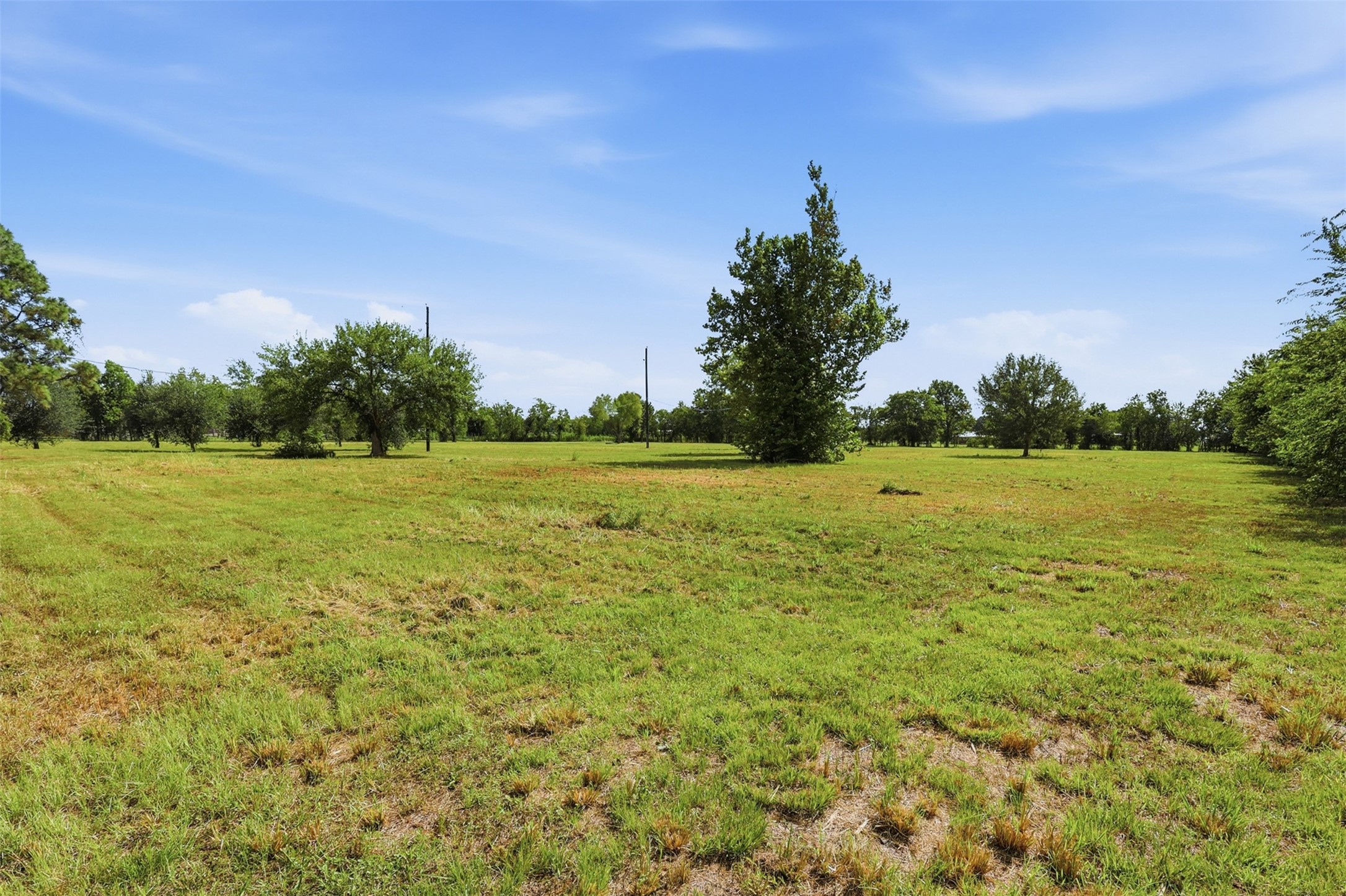 8511 County Road 79 Property Photo 10