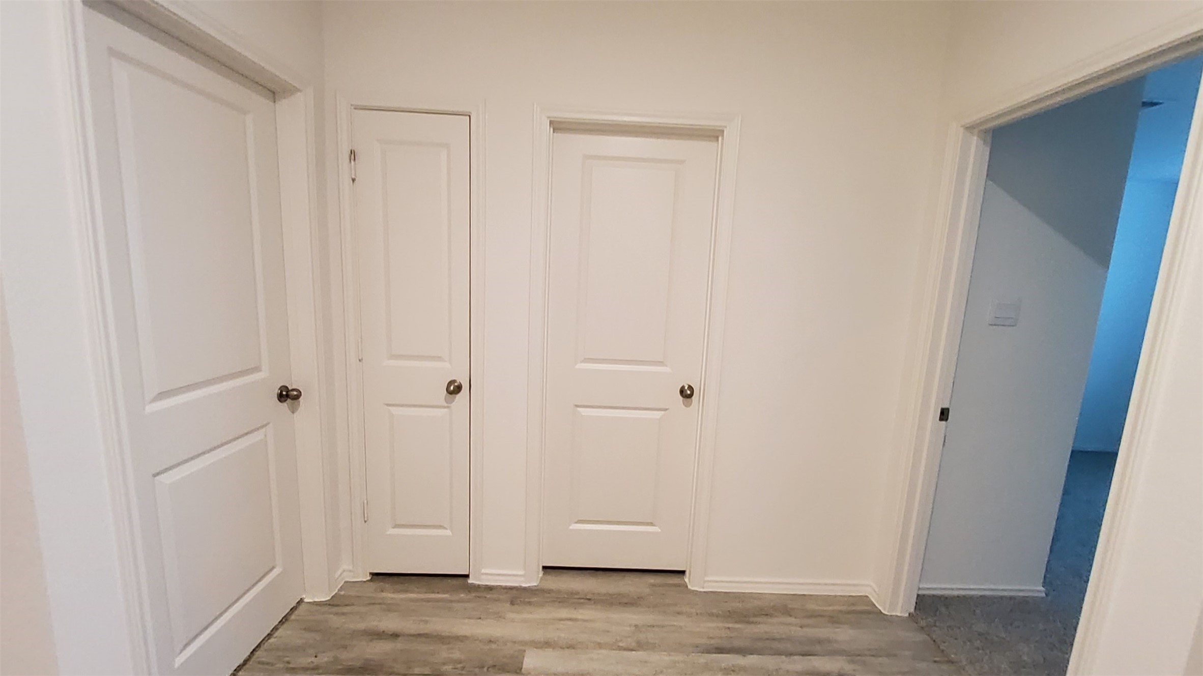 31027 Delamere Turn Trail Property Photo 13