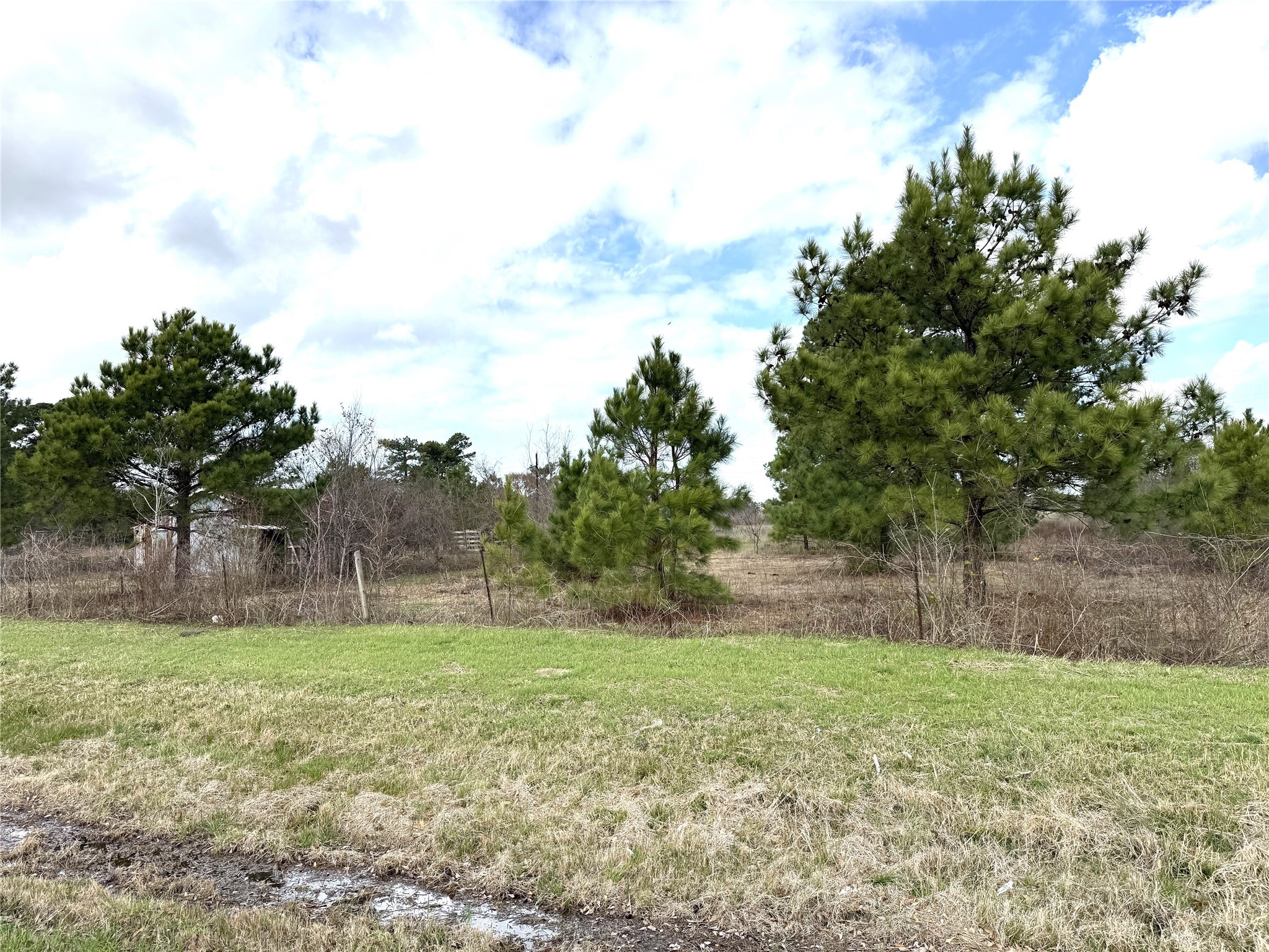 8735 Fm 2819 Property Photo 3