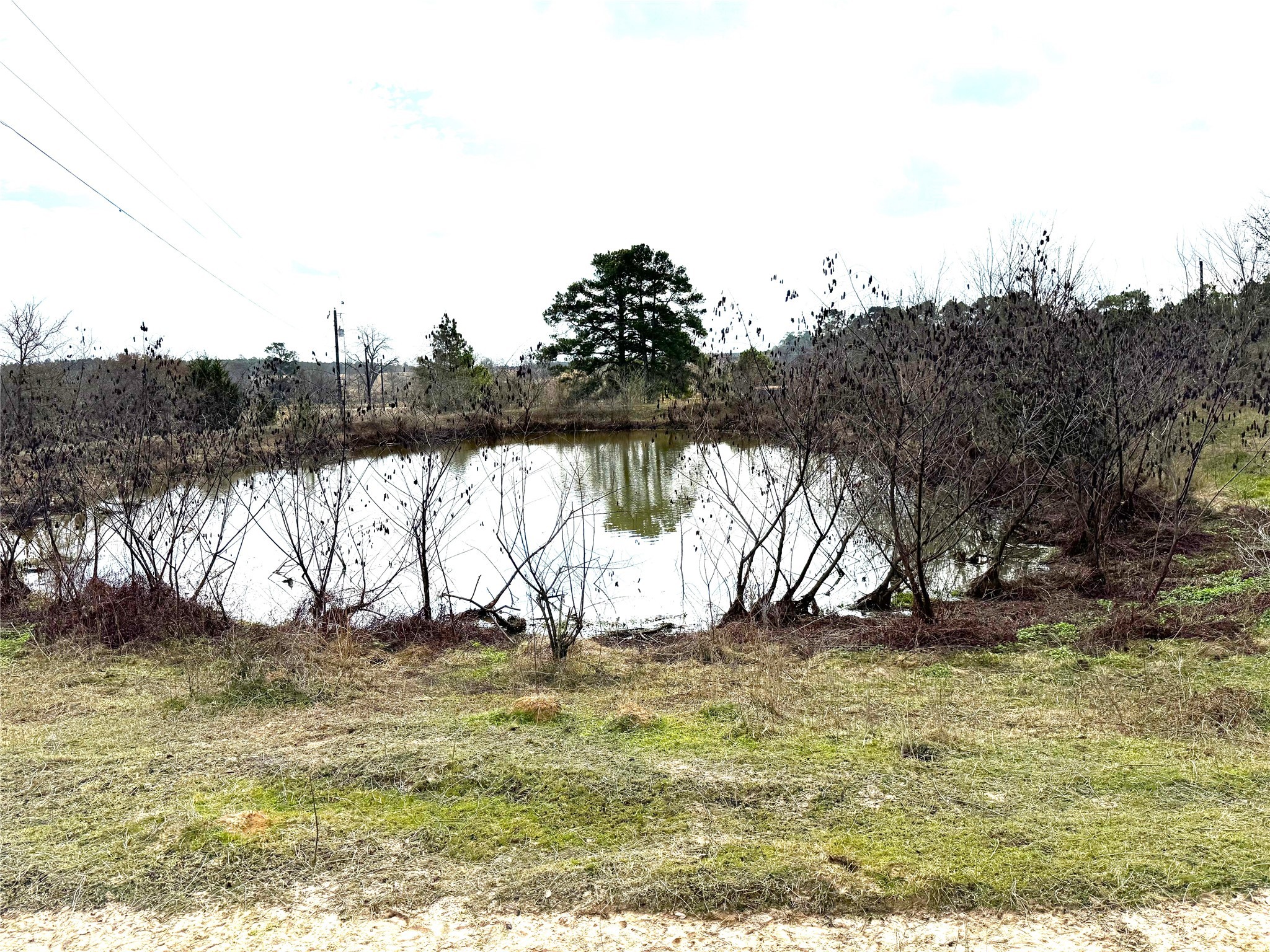 8735 Fm 2819 Property Photo 4