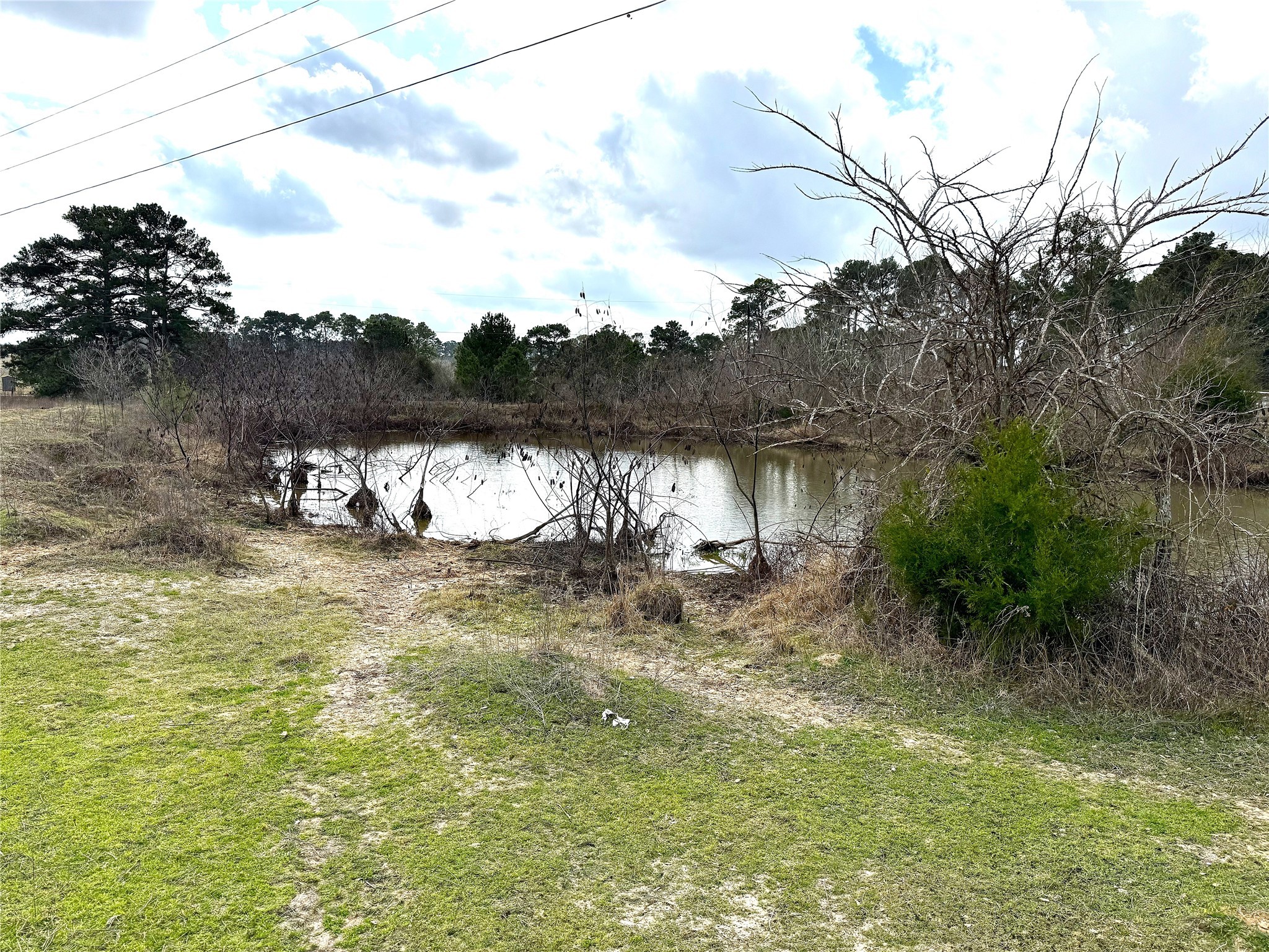 8735 Fm 2819 Property Photo 5