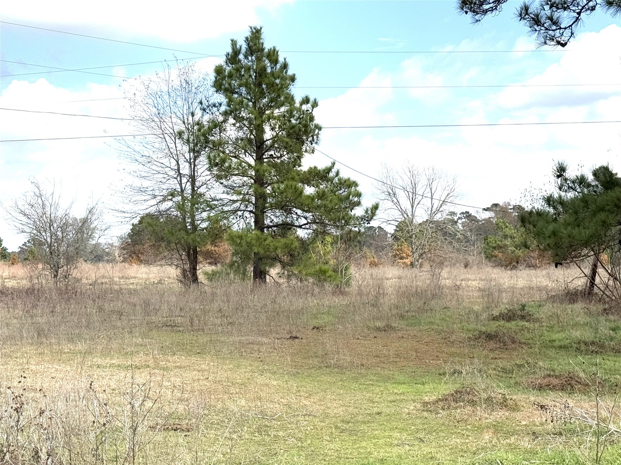 8735 Fm 2819 Property Photo 6