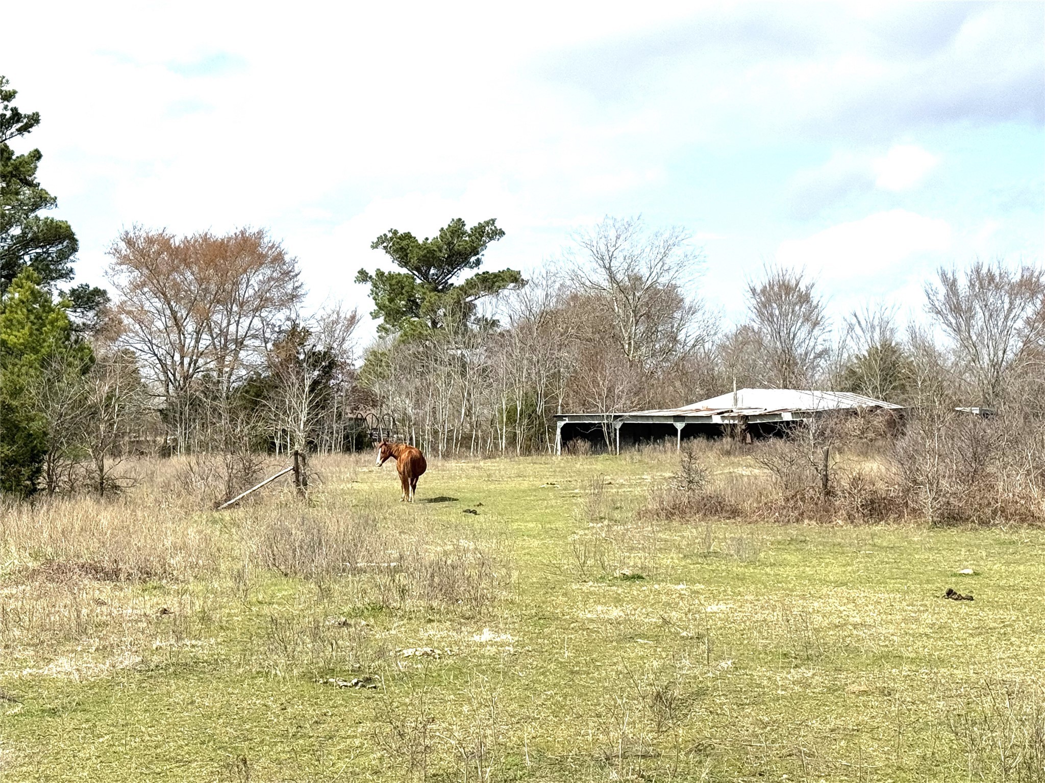 8735 Fm 2819 Property Photo 8