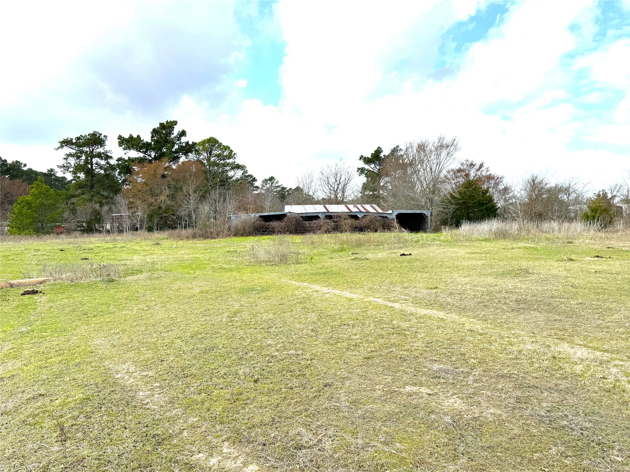 8735 Fm 2819 Property Photo 9