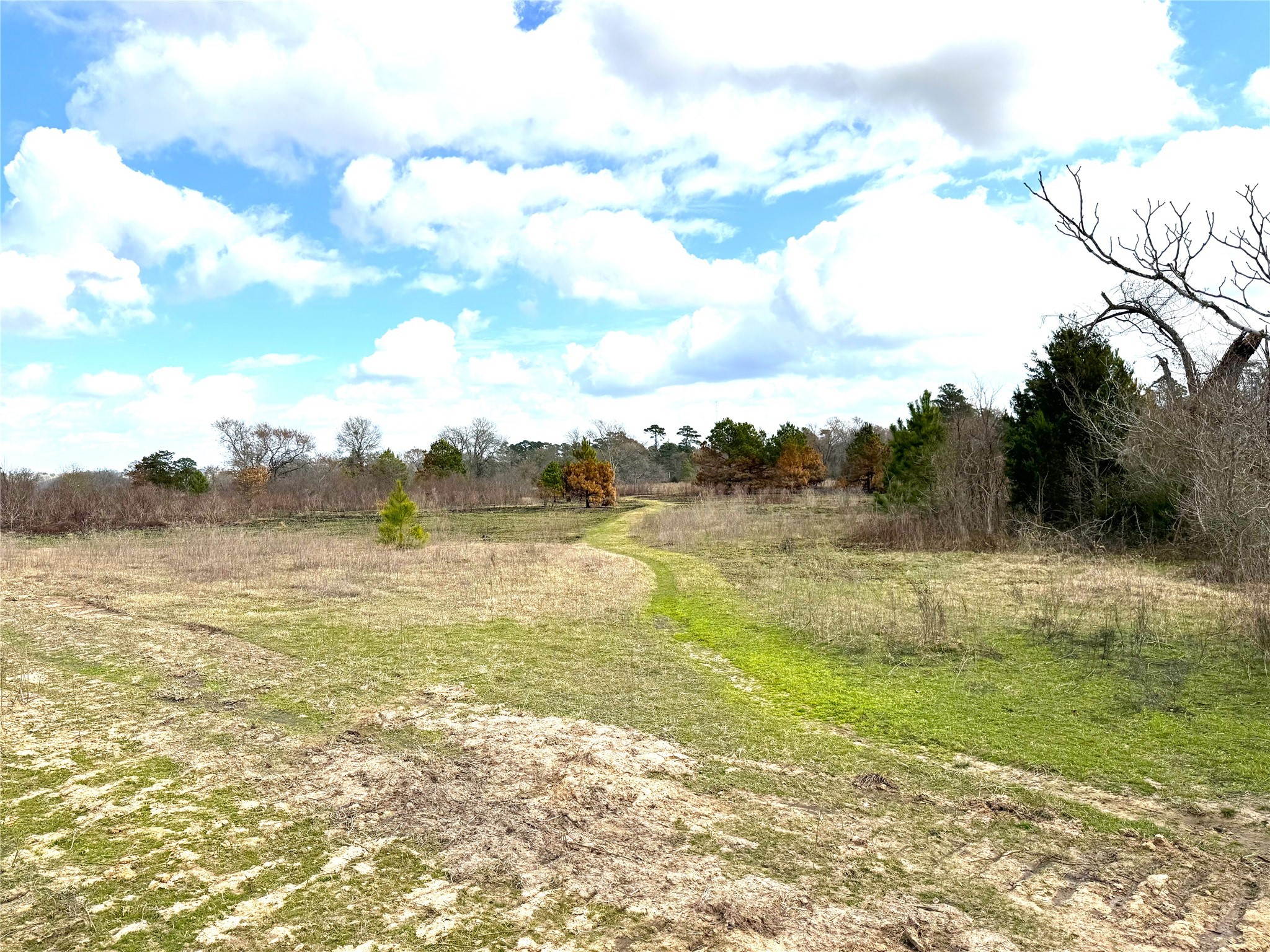 8735 Fm 2819 Property Photo 10
