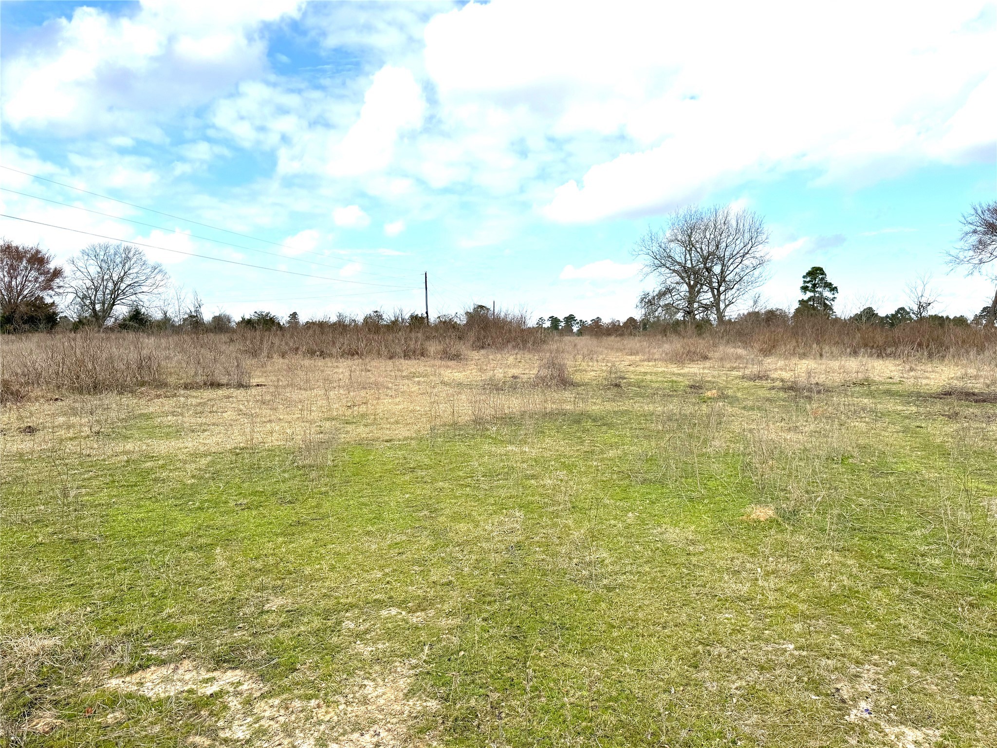 8735 Fm 2819 Property Photo 11