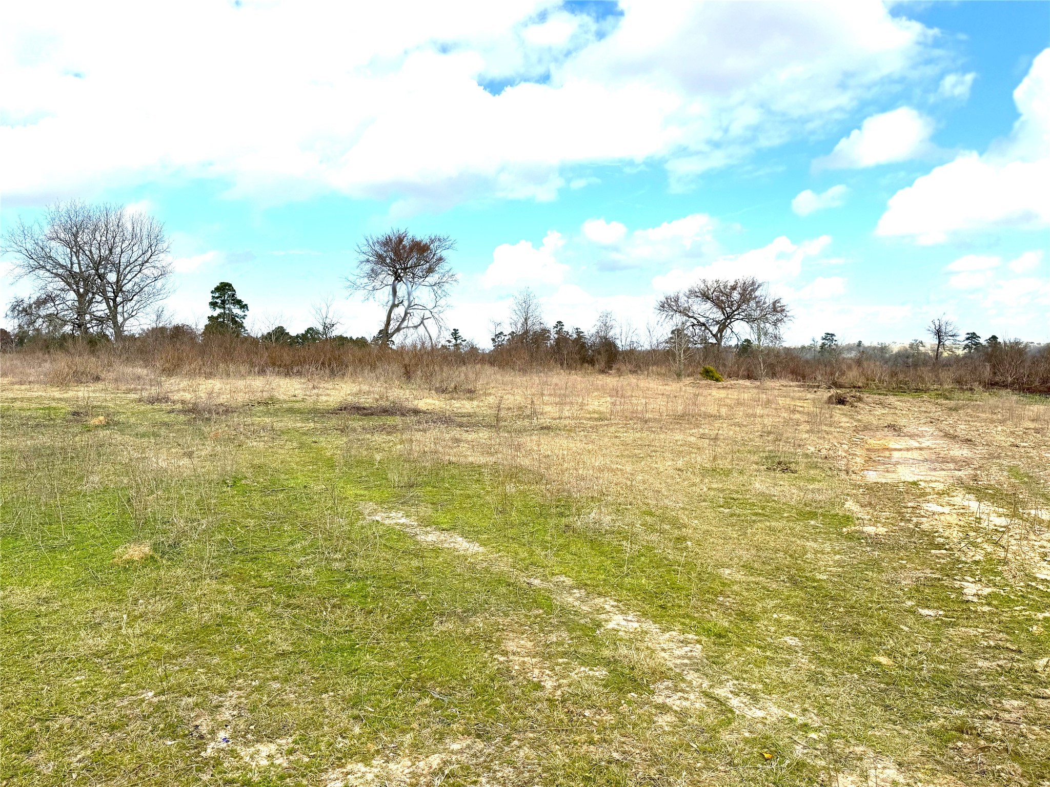 8735 Fm 2819 Property Photo 12