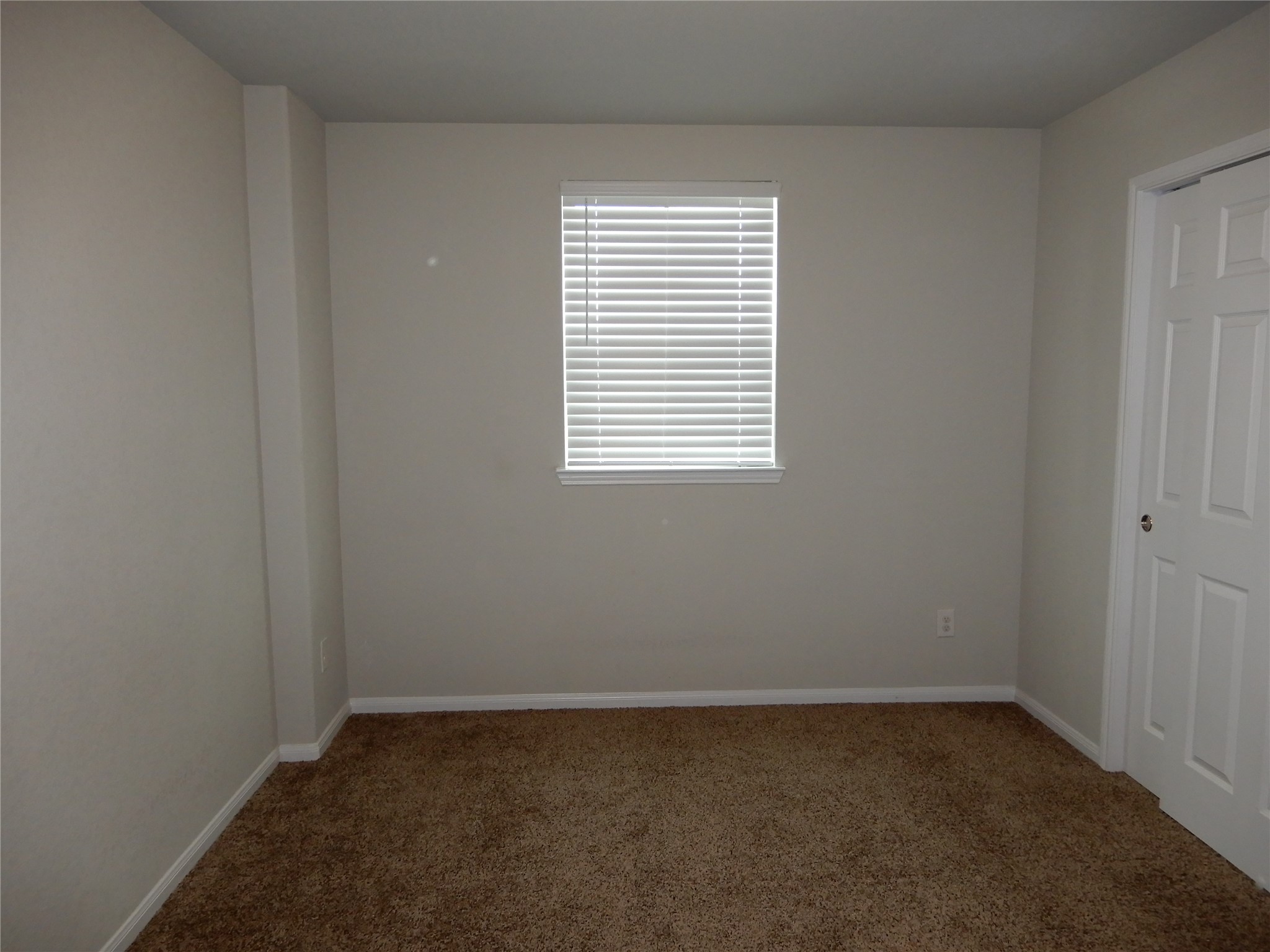 12258 Chestnut Clearing Trail Property Photo 14